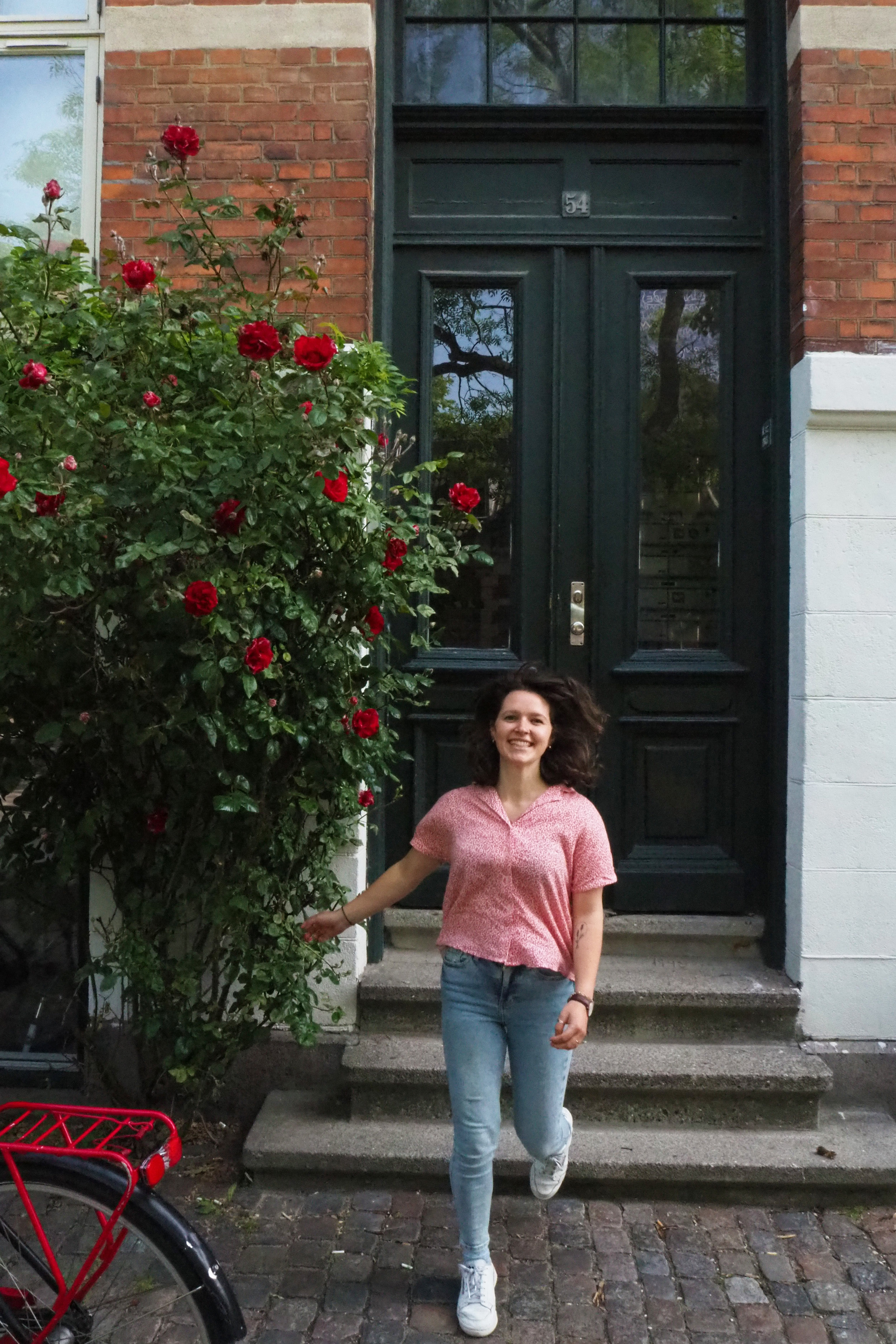 Photo roses.jpg