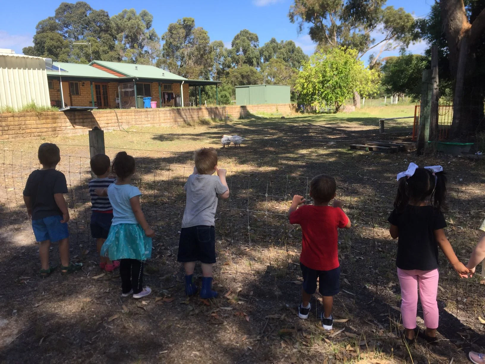 Janes House kids on fence.JPG