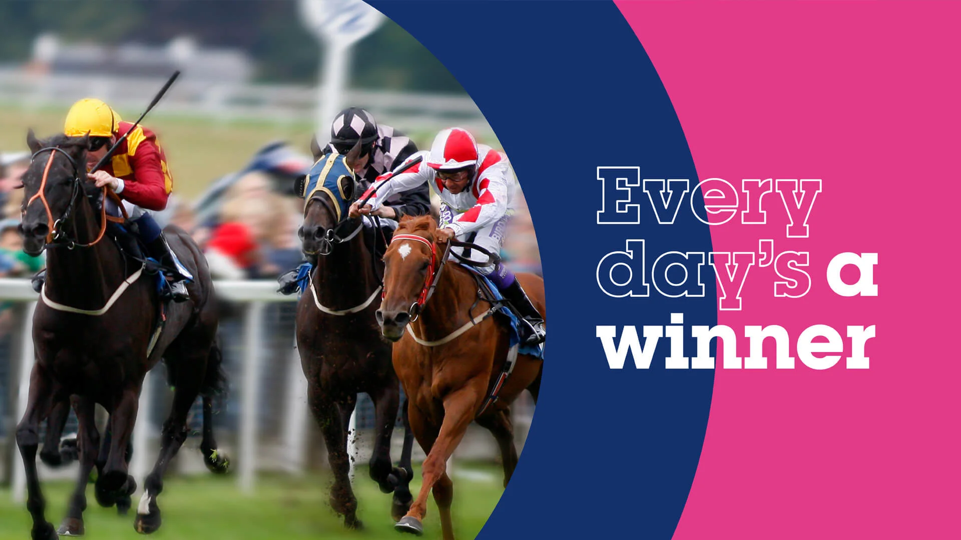 StrawberryToo_Portfolio_Bev-Races_header.jpg