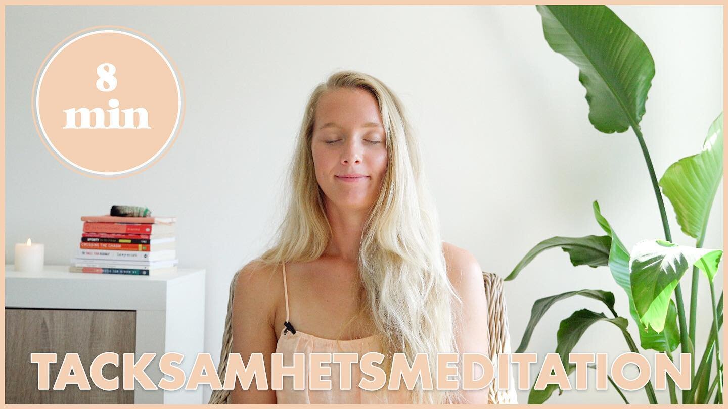 G&aring; in p&aring; youtube och g&ouml;r denna tacksamhetsmeditation f&ouml;r att manifestera dina dr&ouml;mmar 💛

Se l&auml;nk i bion 🧘🏼&zwj;♀️

#mediteramera #tacksamhet #tacksamhetsmeditation