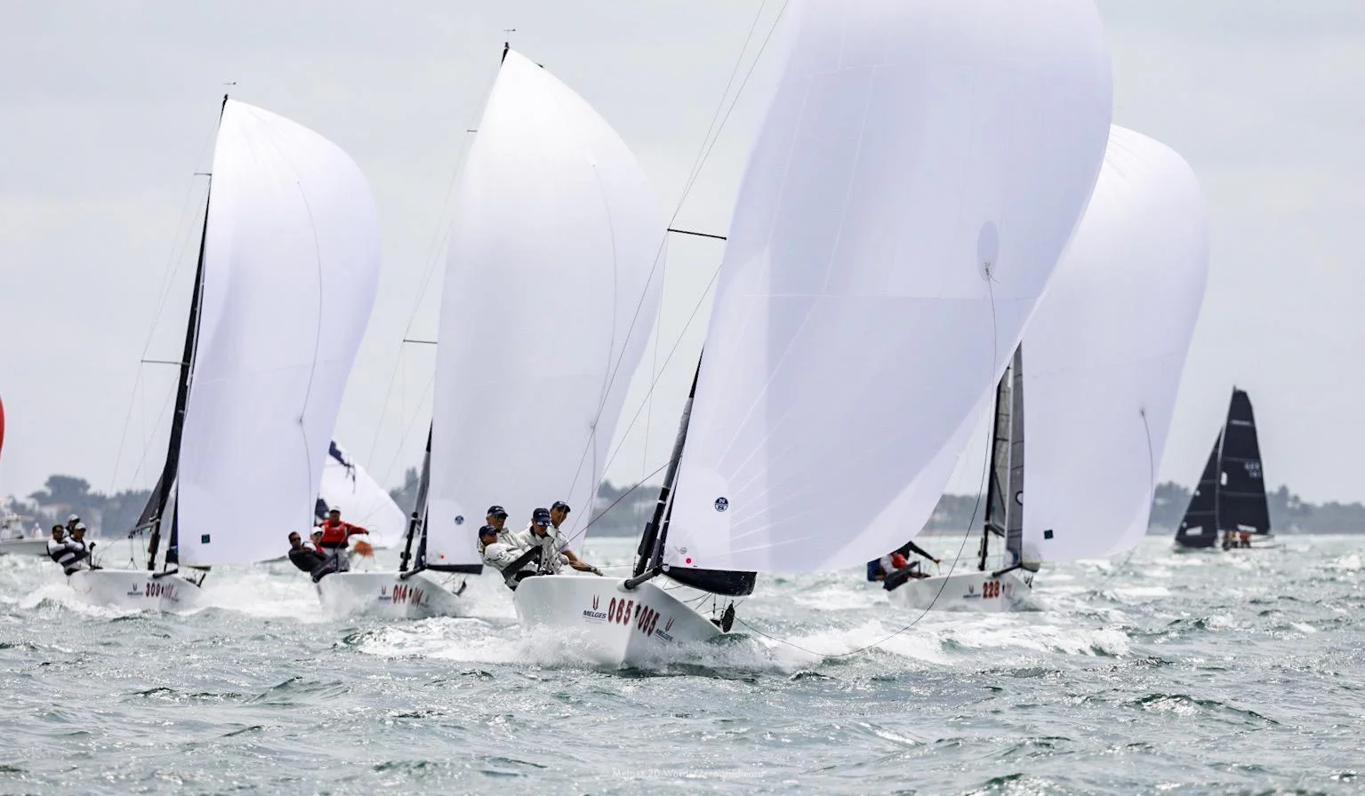 Eve of the 2019 Melges 20 World Championship