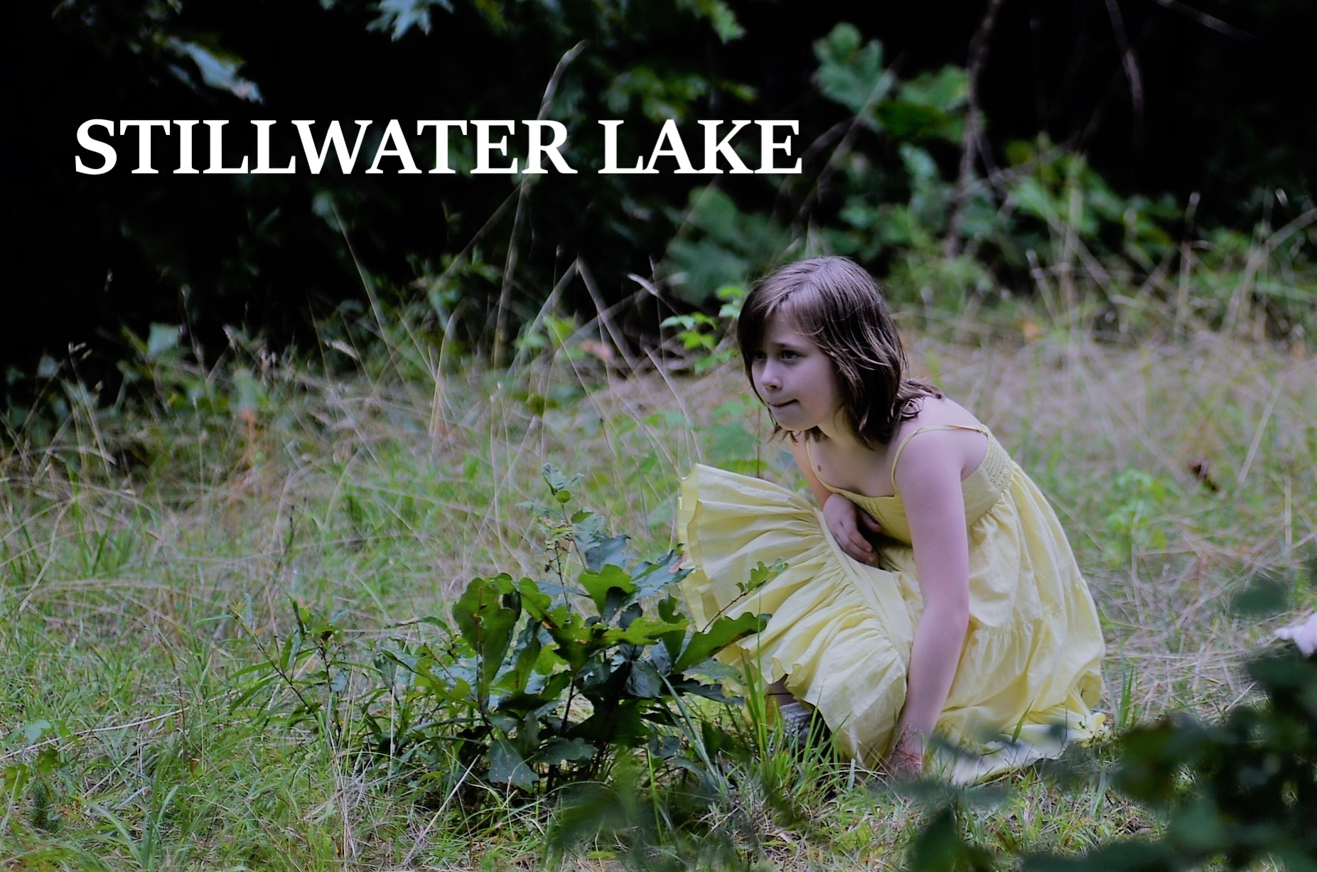 Stillwater lake poster still.JPG