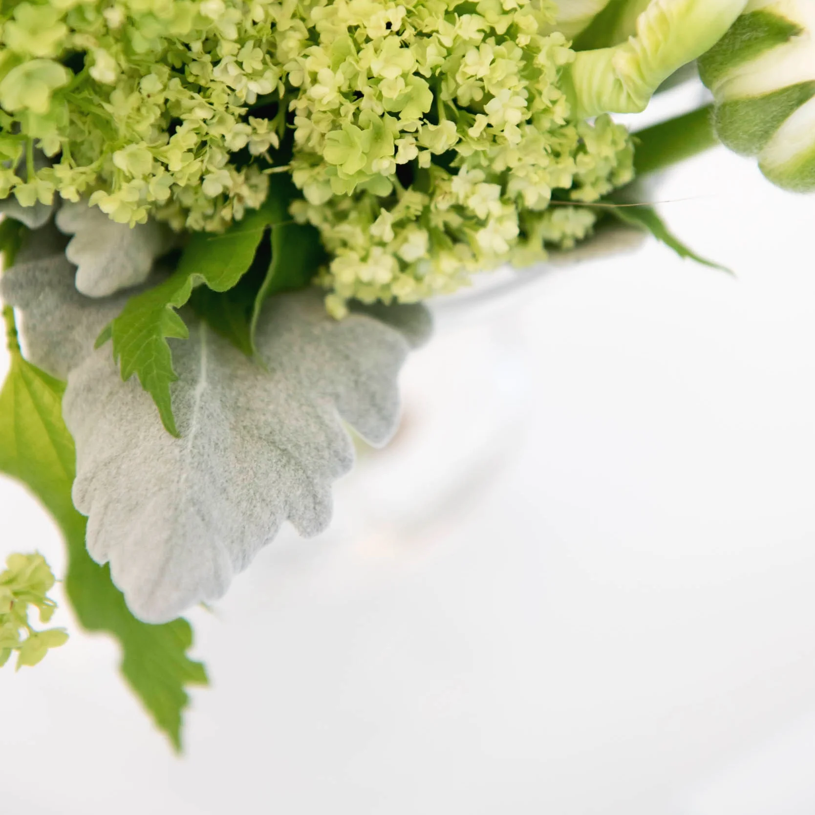 lilacs-florals-wedding-florist-%C2%A9aliciapetittiphotography-143.jpg
