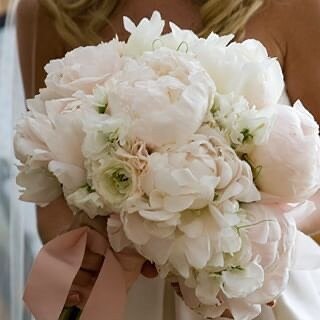 Peonies,we await your arrival.
Photo: @joemikos 
#capecodwedding #peonybouquet #lilacscapecod