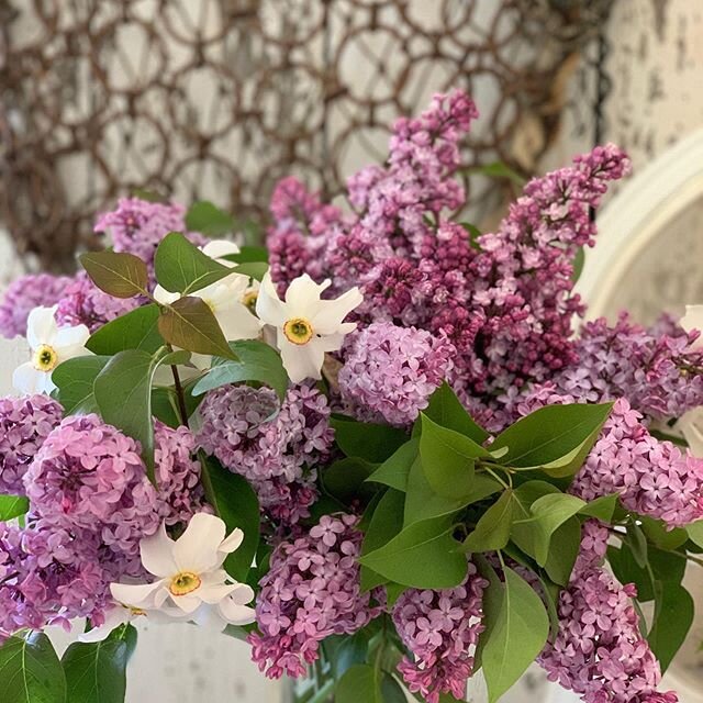 Classic vintage flowers,lilacs &amp; narcissus from the garden. #vintageflorals #lilacs #narcissus #lilacscapecod