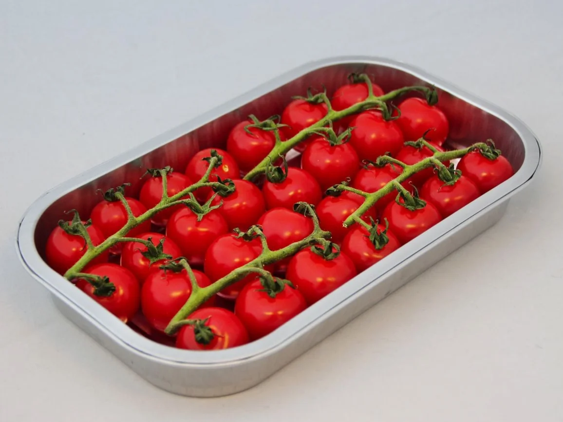 AluPeT Aluminium trays
