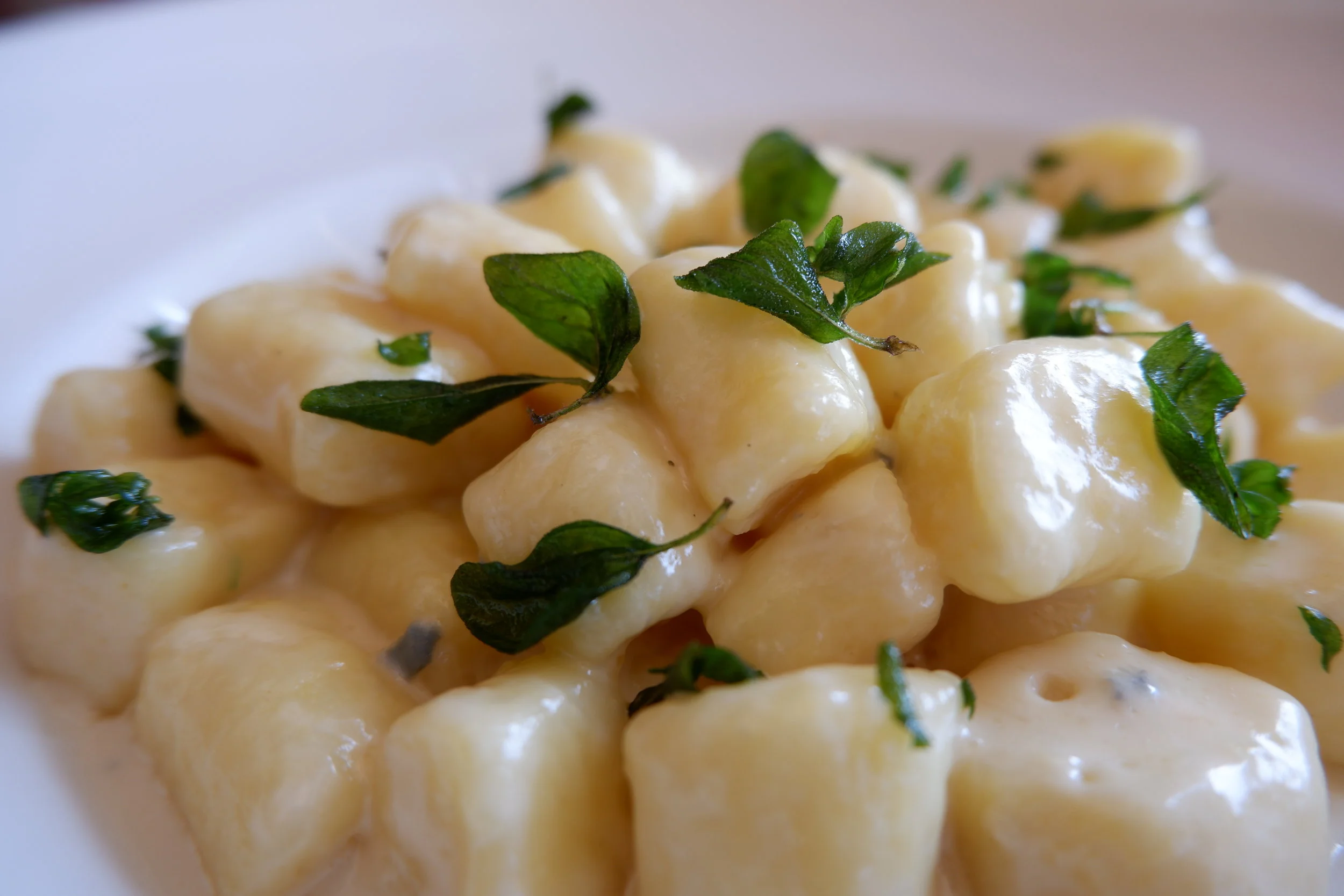 GNOCCHI