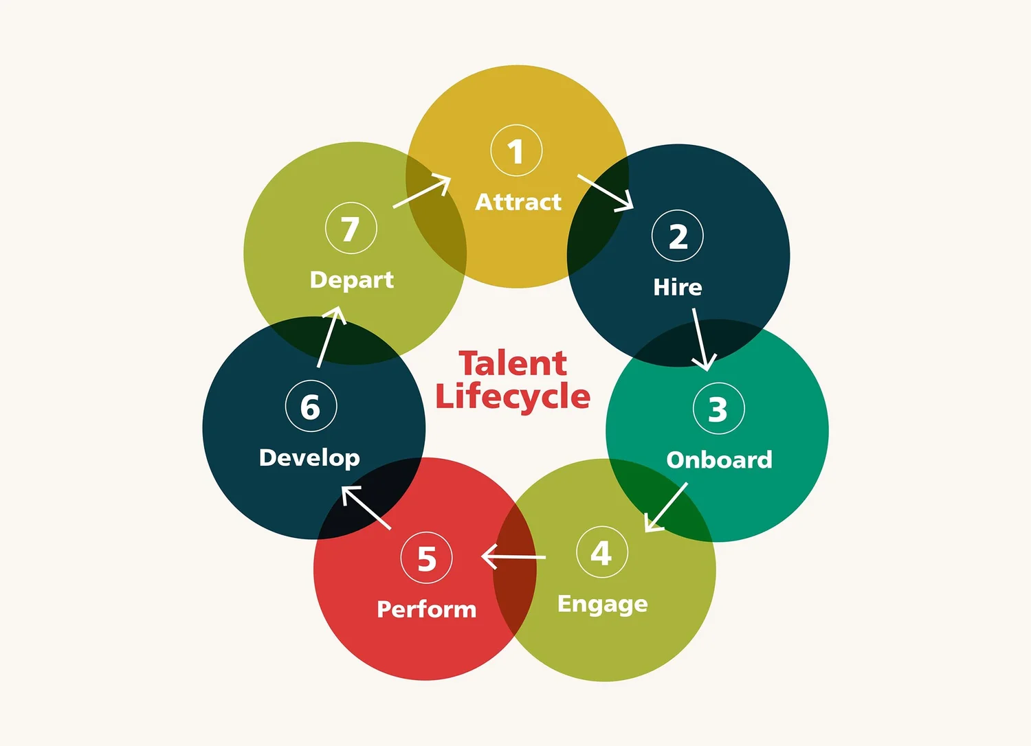 Talent Lifecycle — Talent Tribe