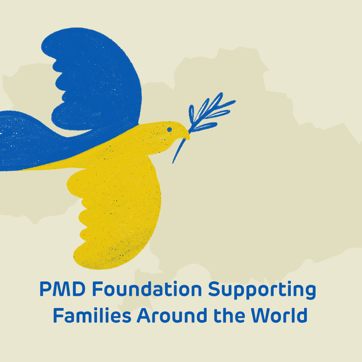 PMD Foundation Supporting Families Around the World