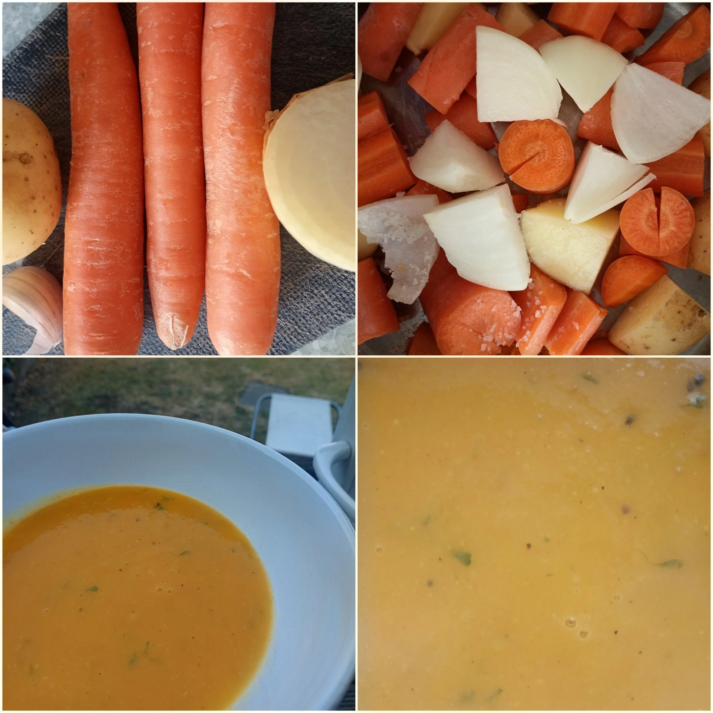 Simple Healthy Organic Soup
