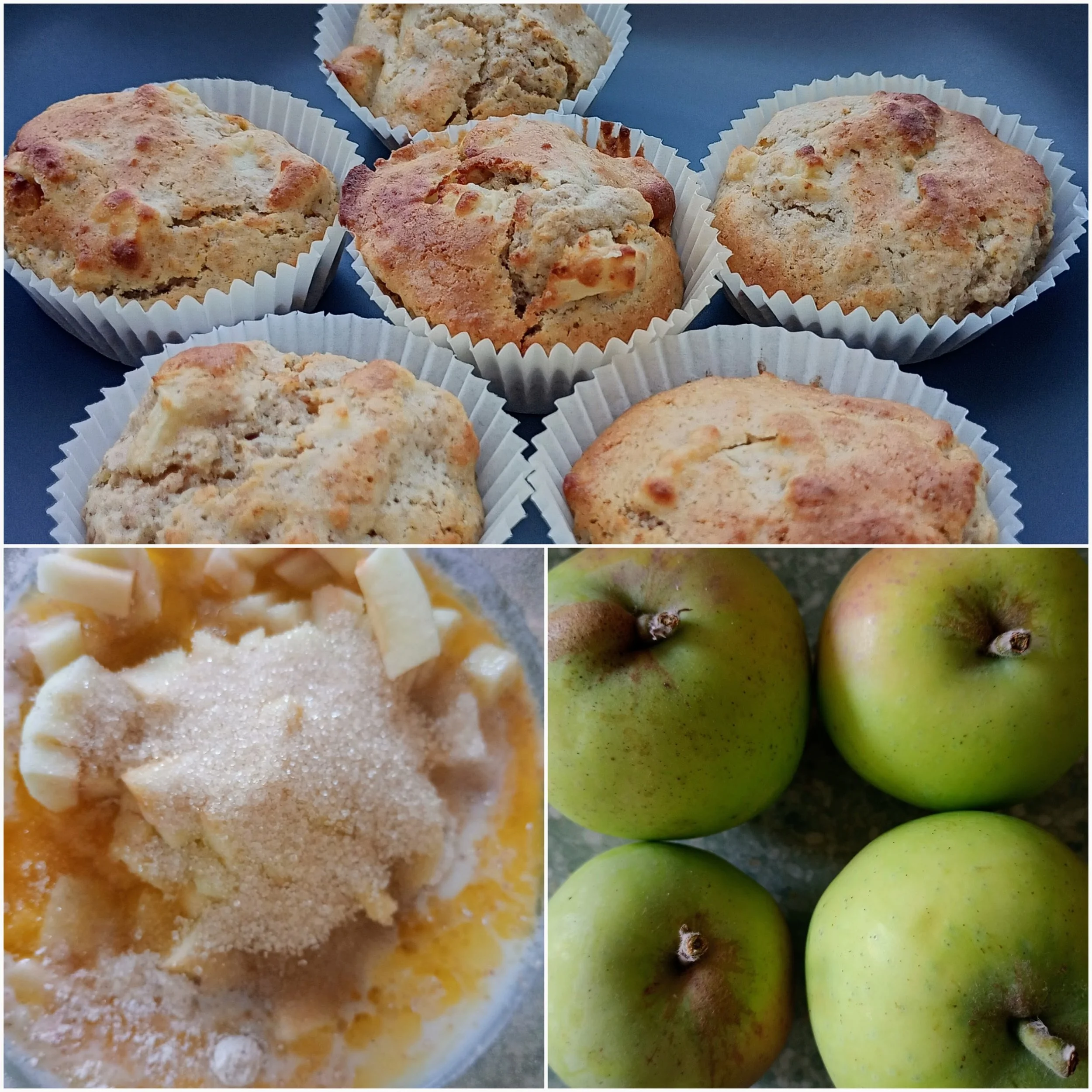 Foraged Apple Mini Muffins