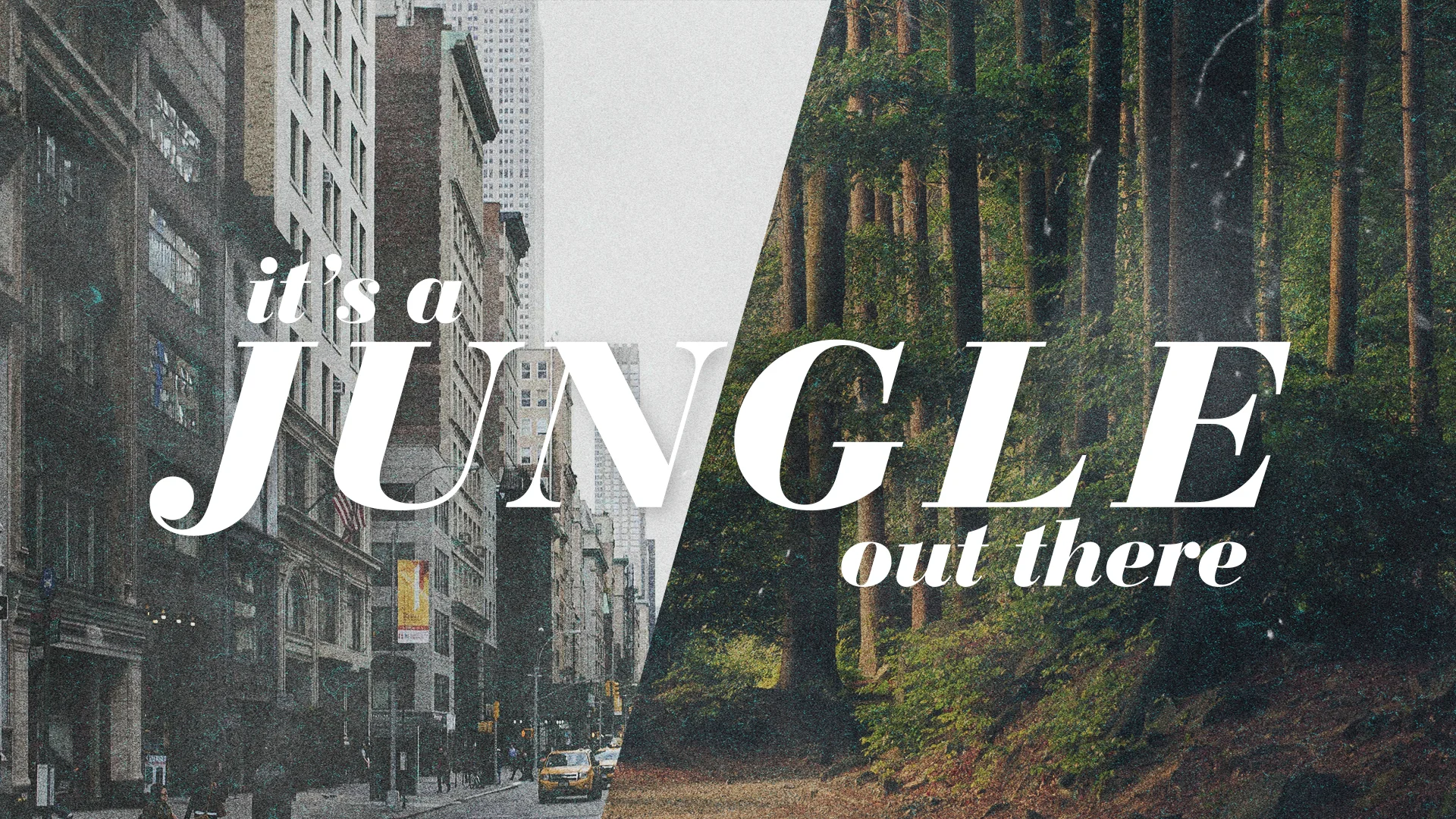 It's A Jungle Out There_main.jpg
