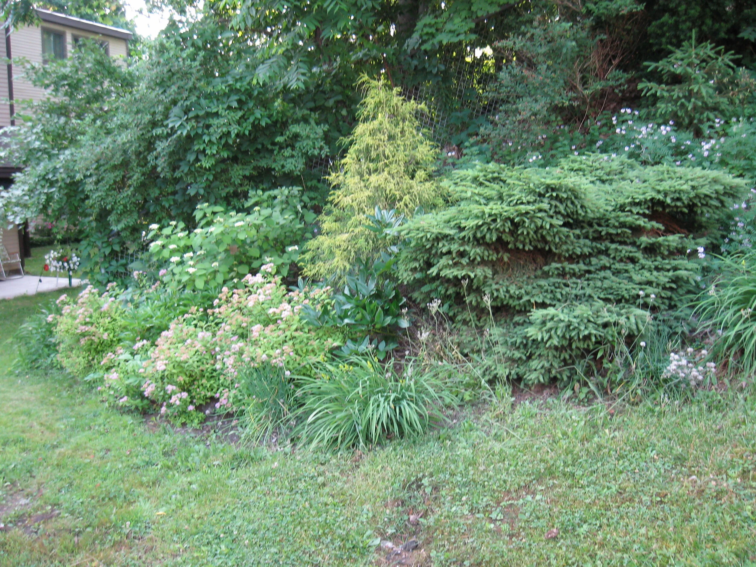 Park (1).JPG