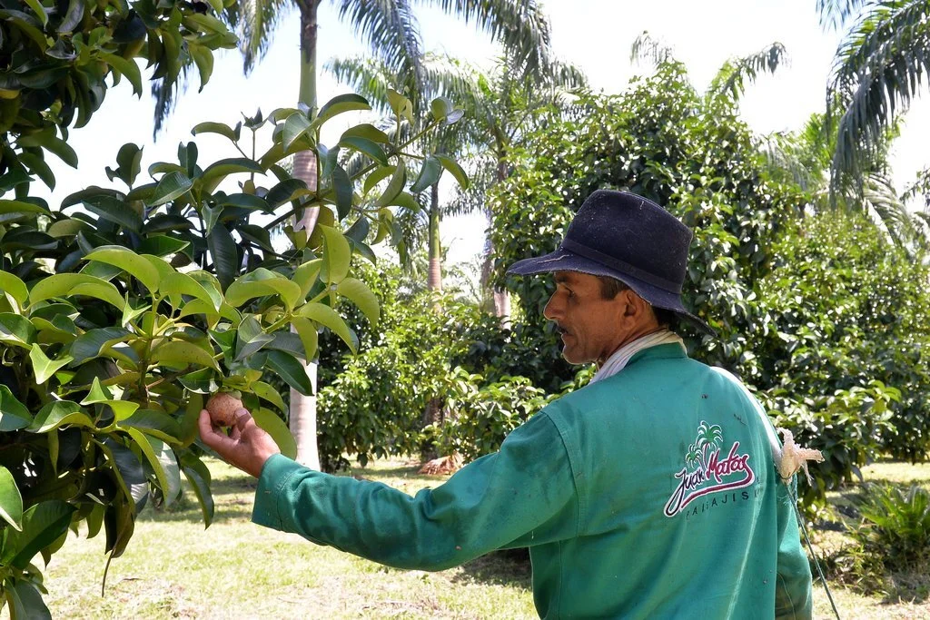 PBA_4258.JPG