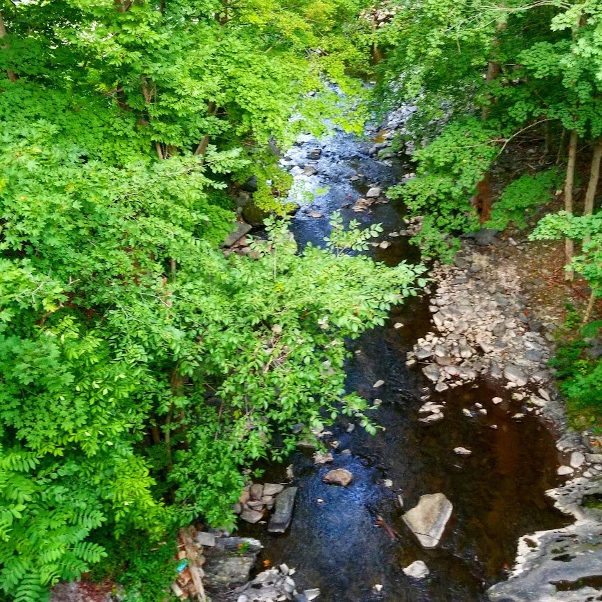 View from a bridge in Wassaic