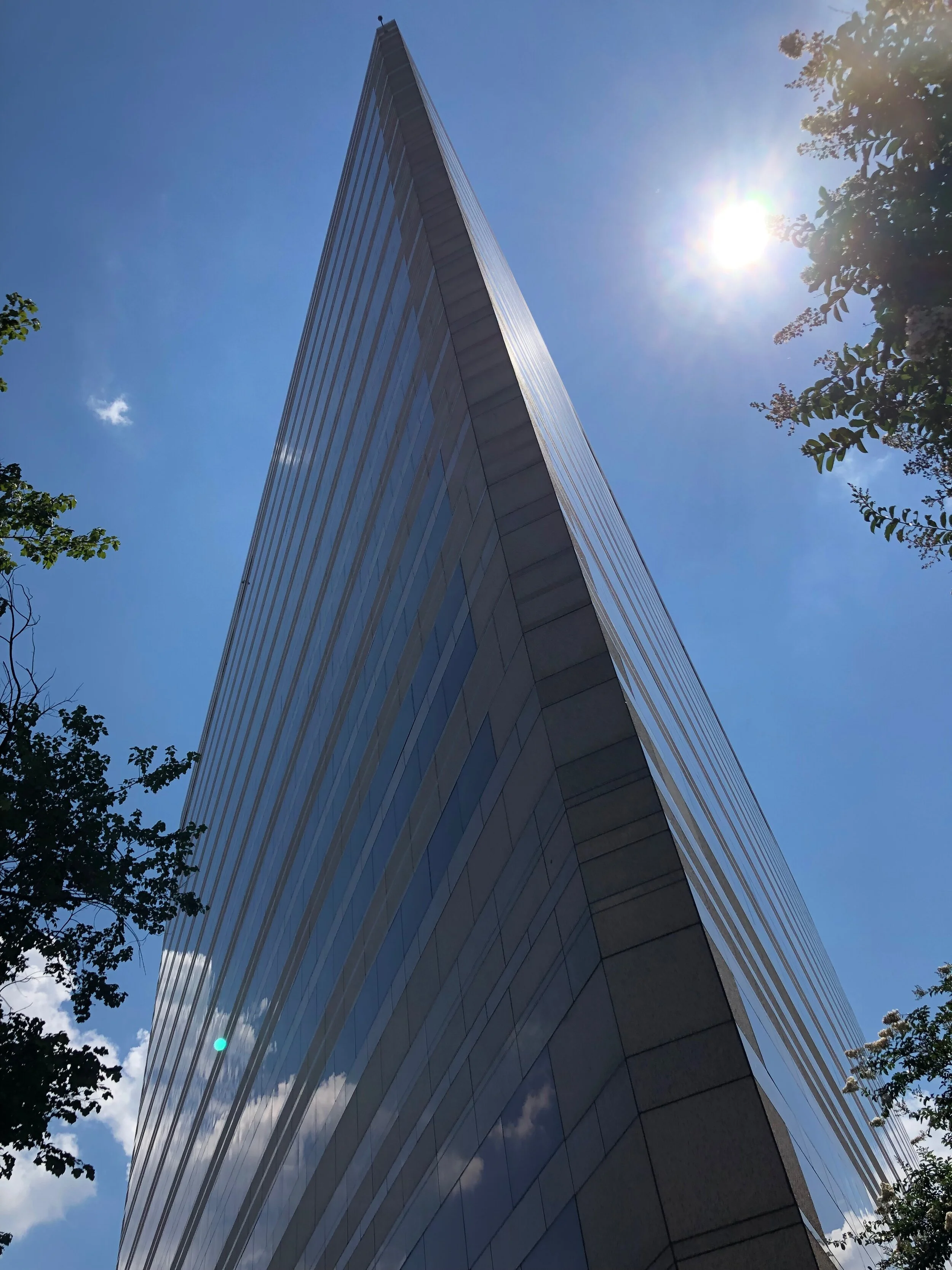 The CEDC and Charlotte's NEST