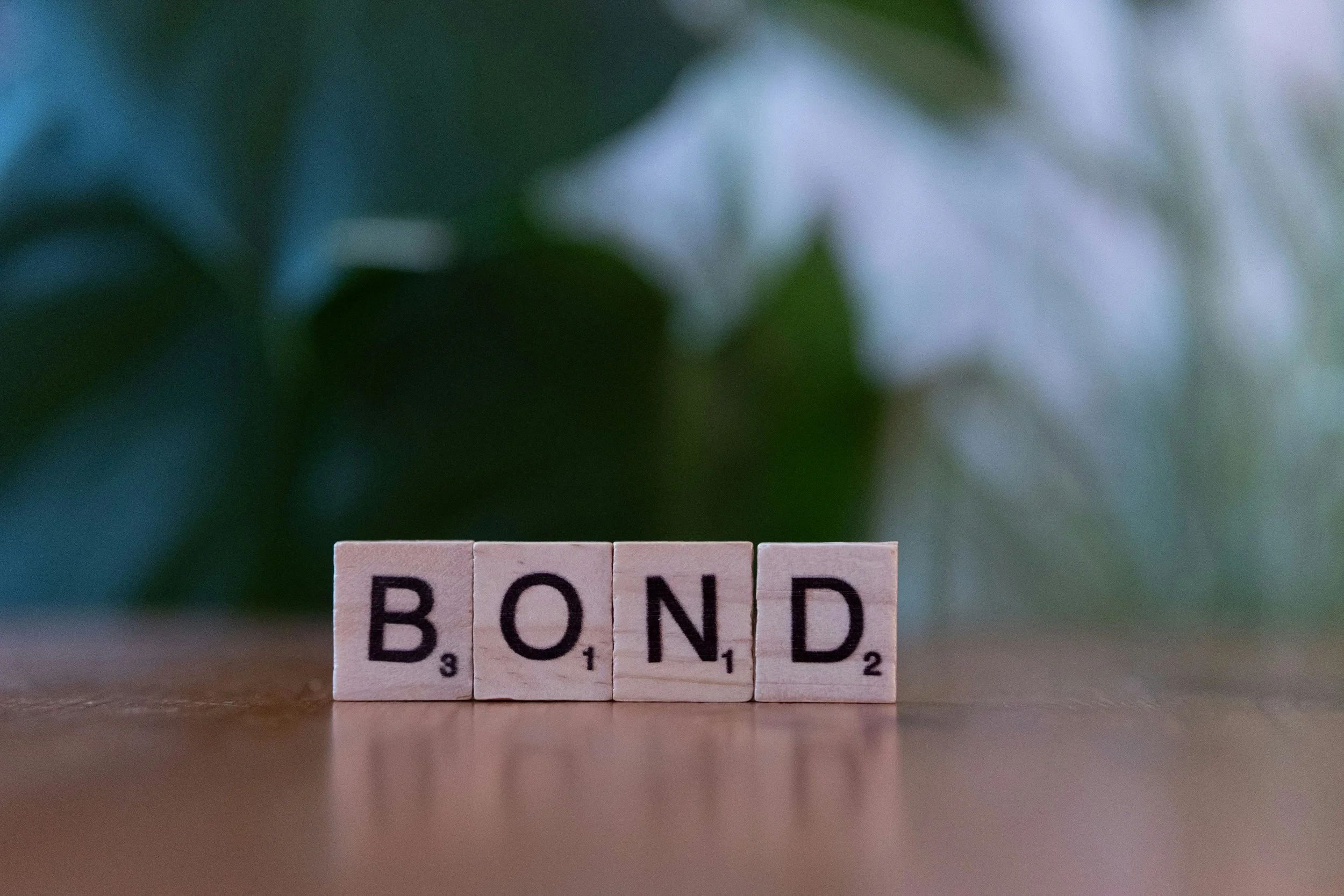How Do Bonds Work?