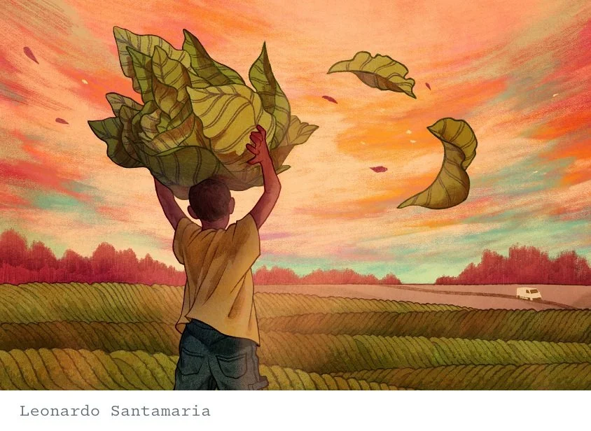 The Overlooked Children Working America's Tobacco Fields