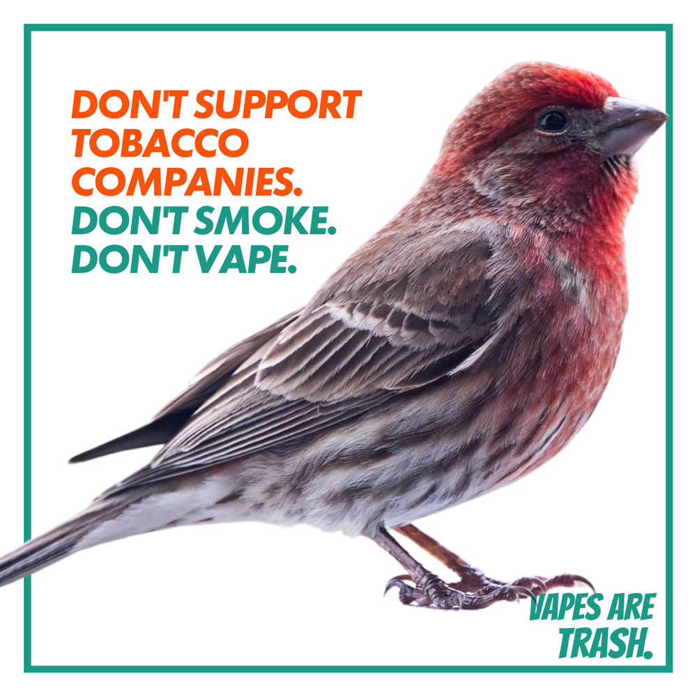 Vapes Are Trash  Parents Against Vaping E-cigarettes