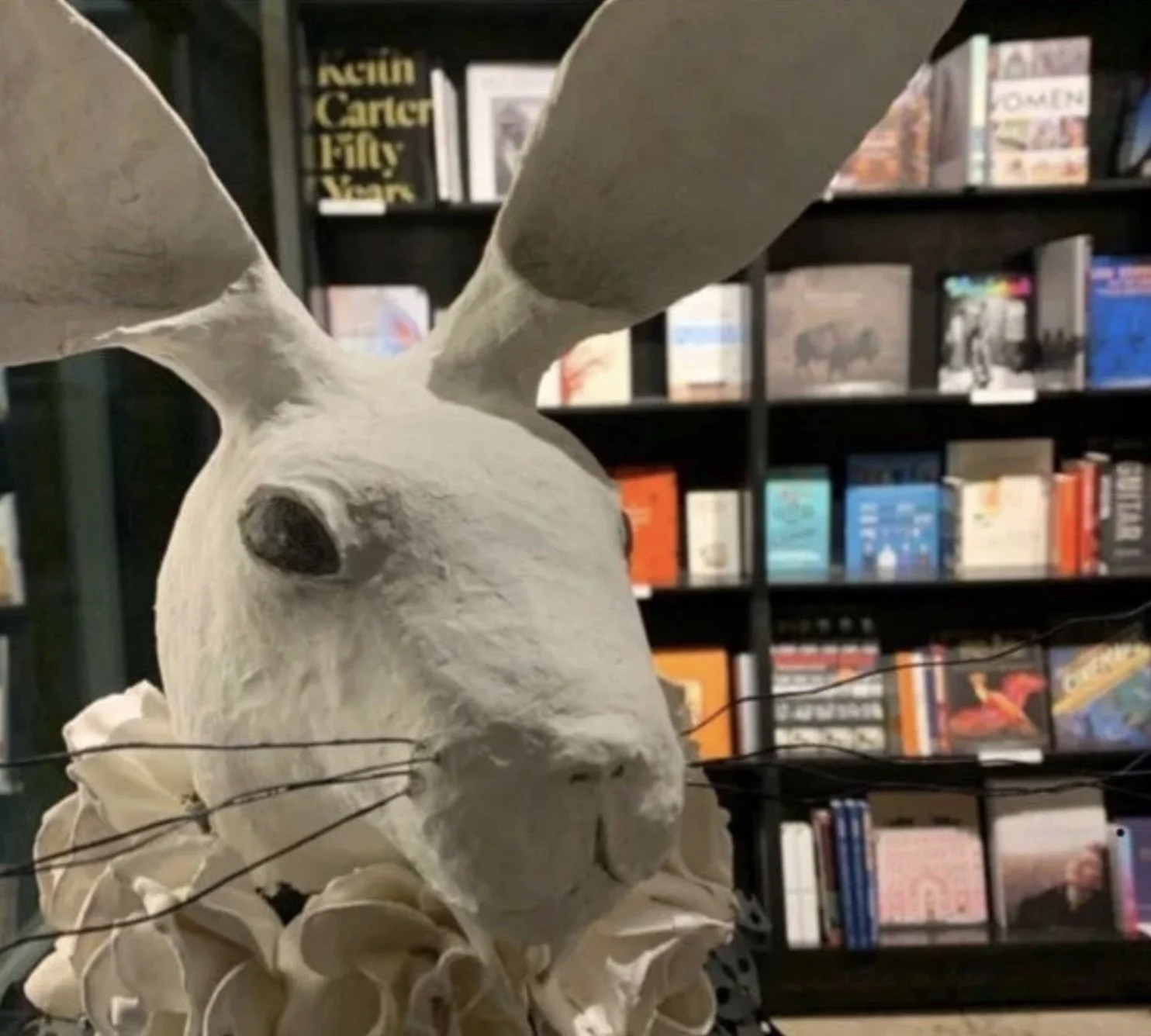 Rabbit.jpg
