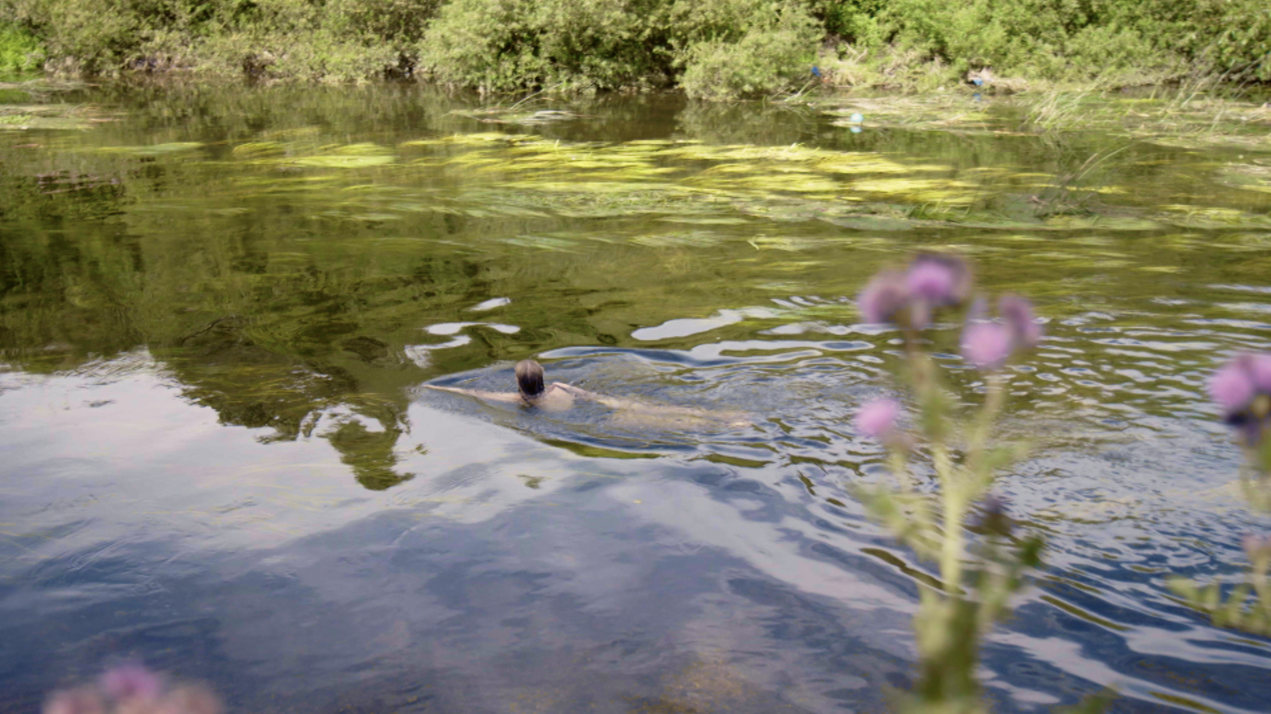Water Still3.png