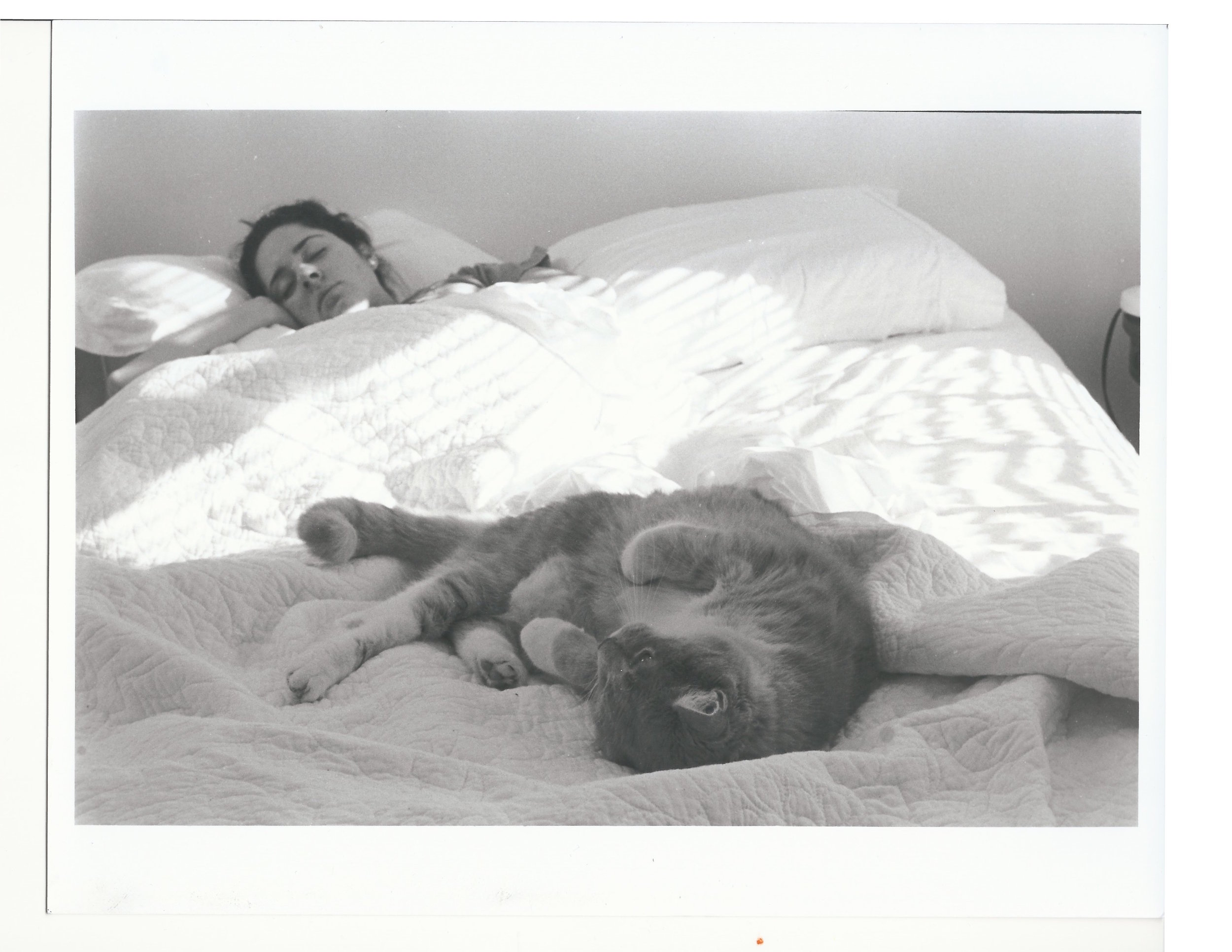 Carmen Recio. Sleeping In.