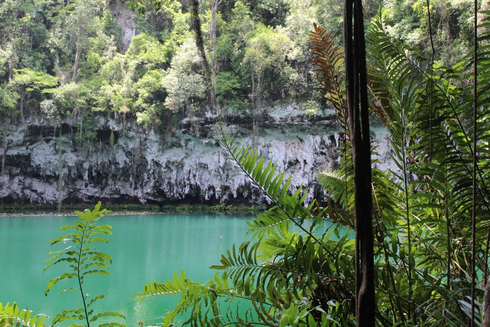   Shenoa Urbaez Romero.   #5.  