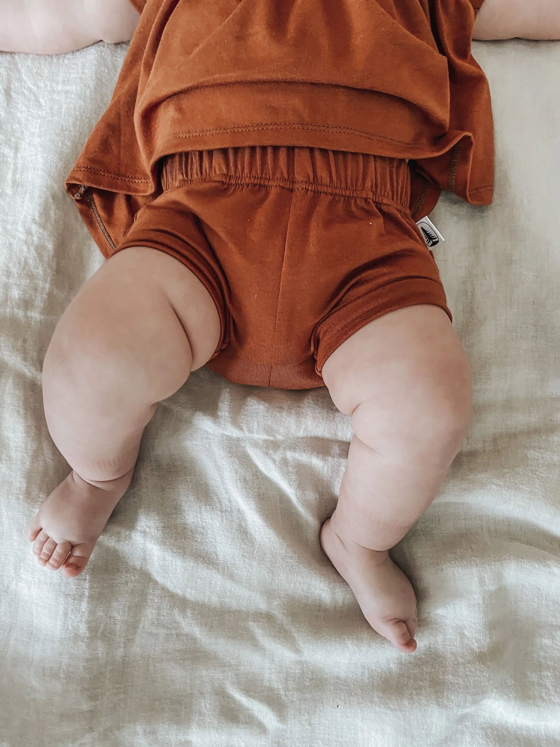 85C644C9-847F-4308-9E17-1BE5422D79BA