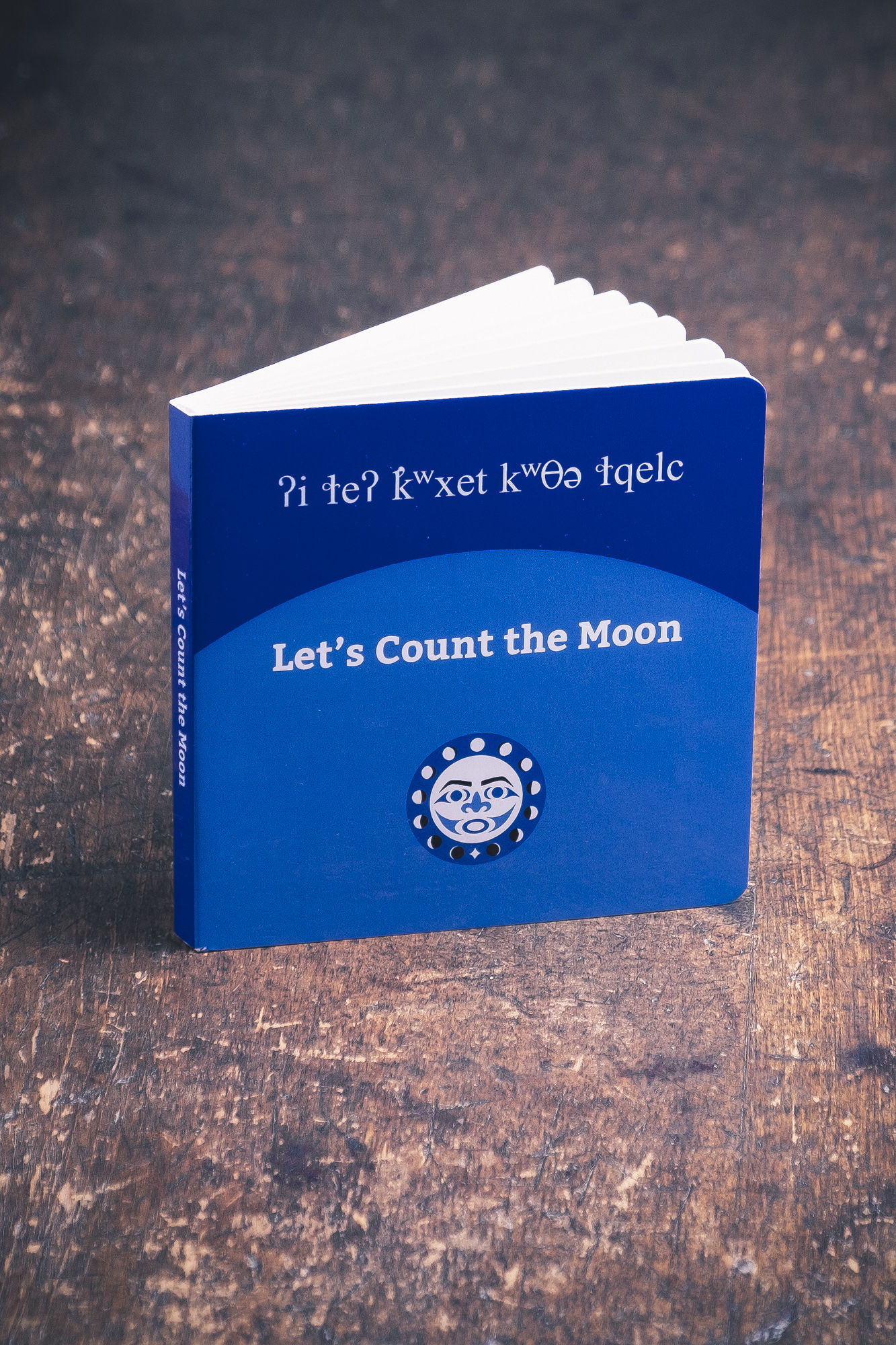 Let's Count the Moon book