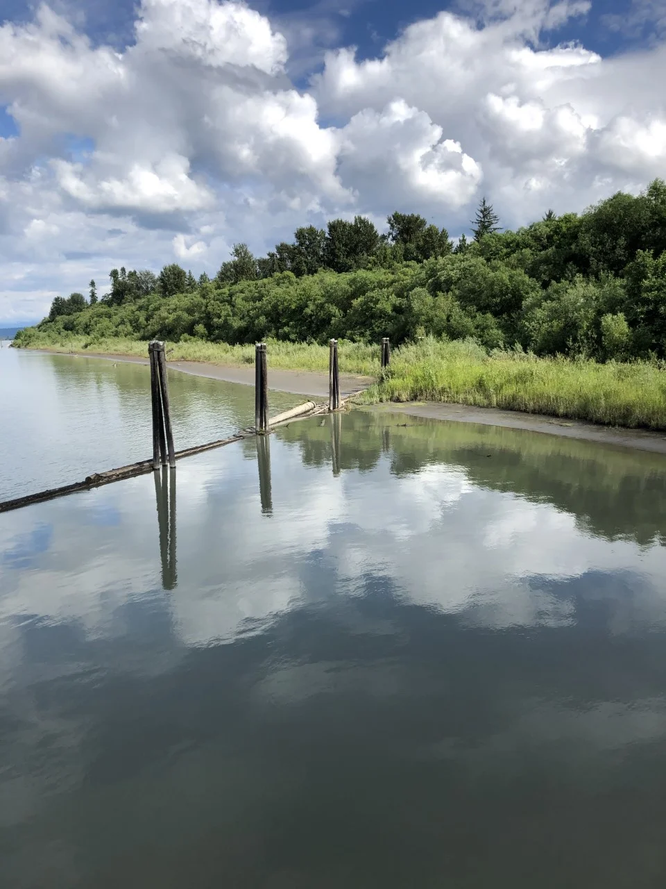 river again.jpg