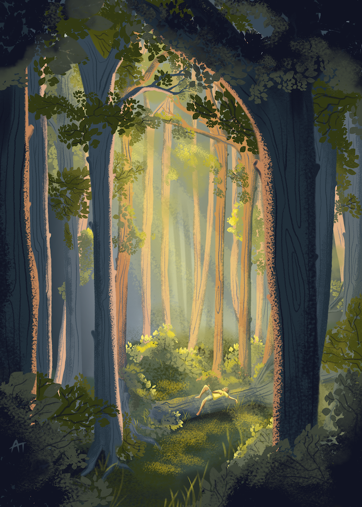 Forest-01.png