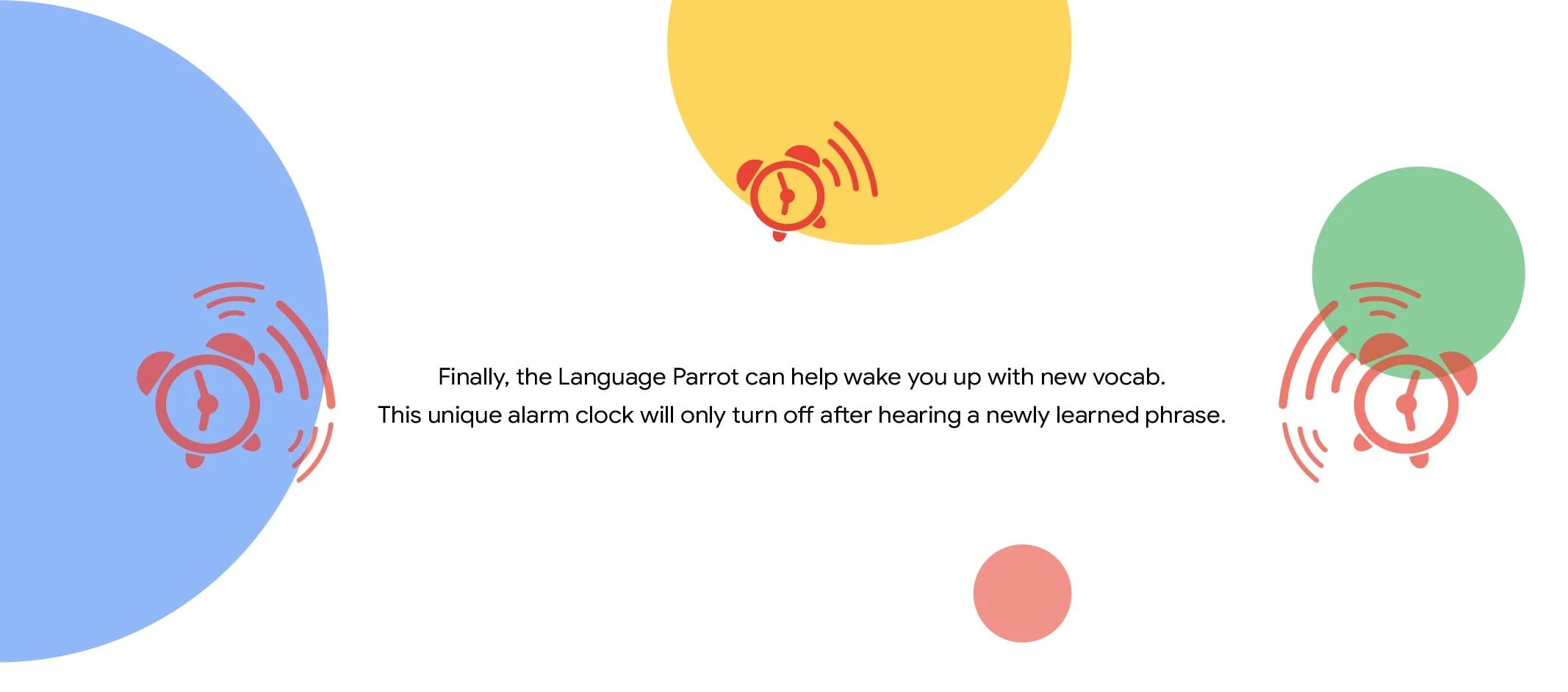 Language Parrot 2022-05.jpg