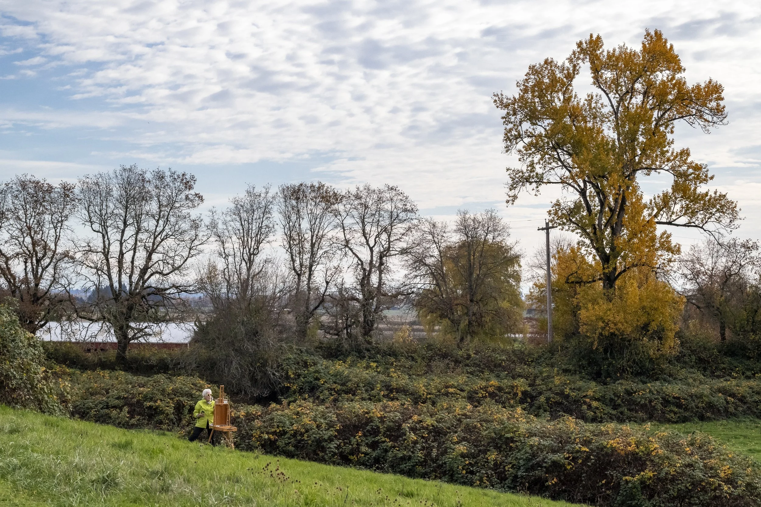 How to Take in the Landscape