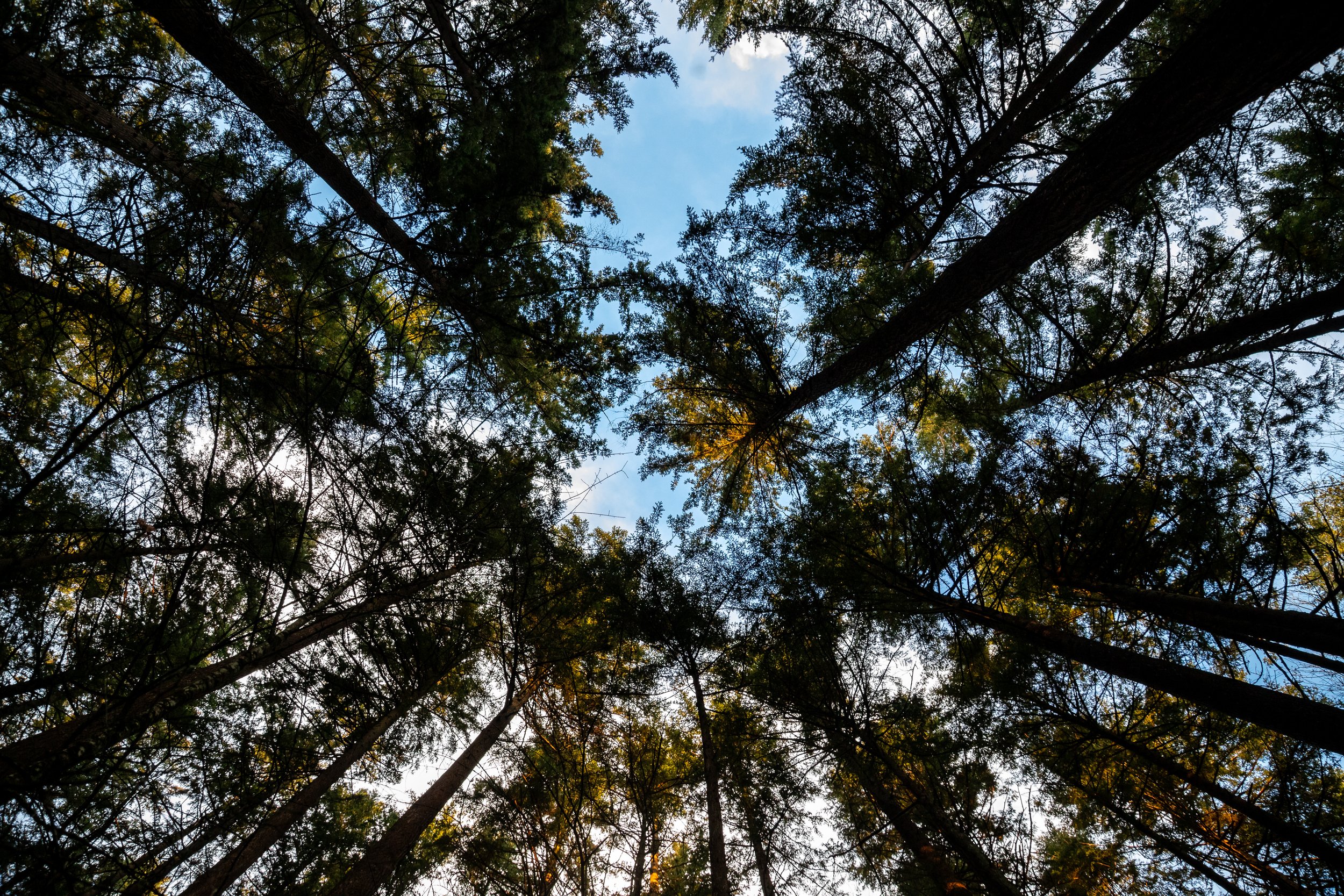 In the Presence of Greatness