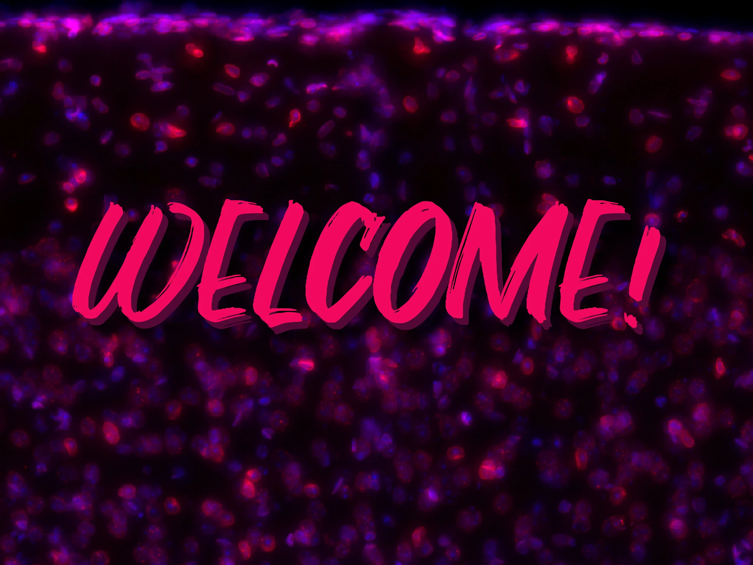 WELCOME image with text.jpg