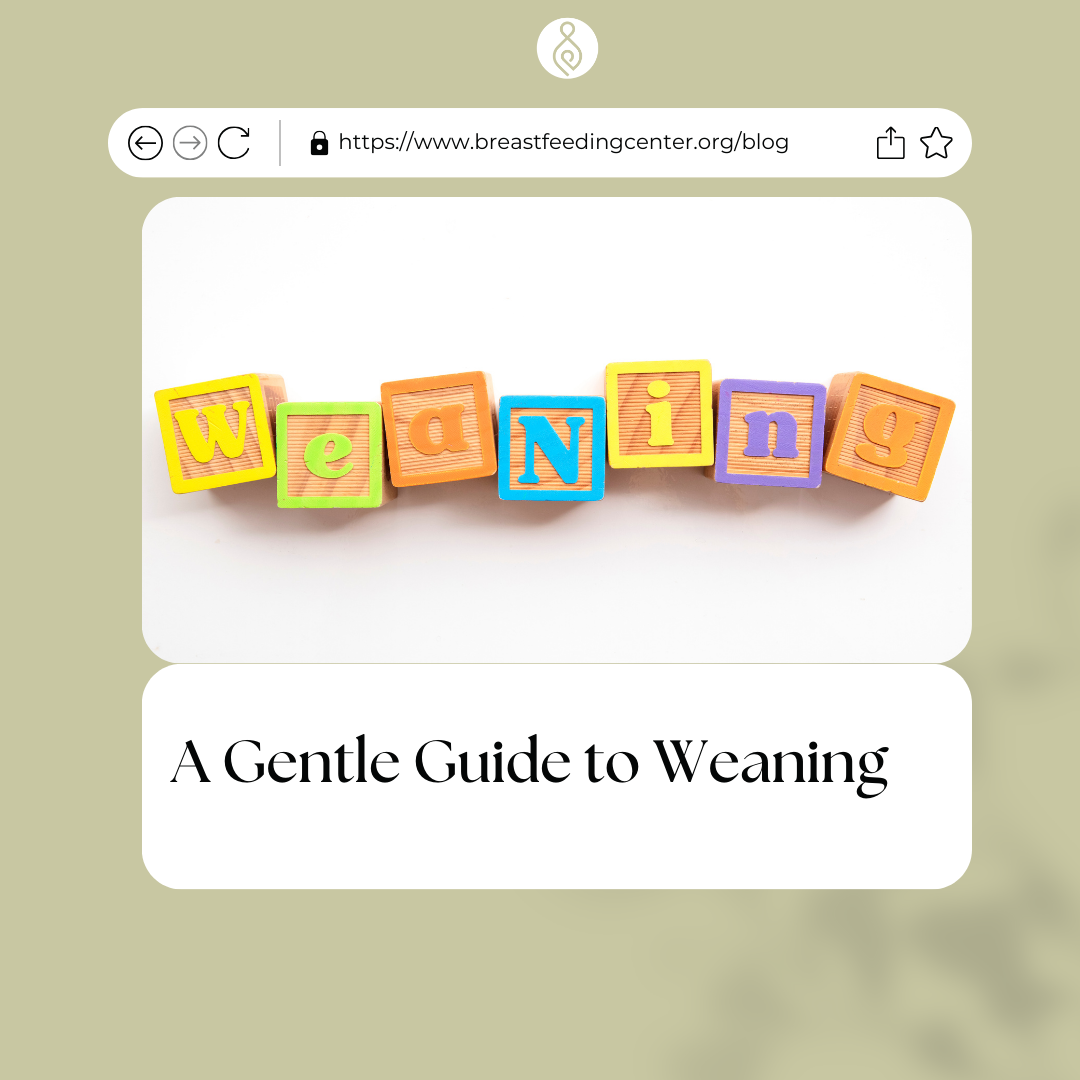 A Gentle Guide to Weaning