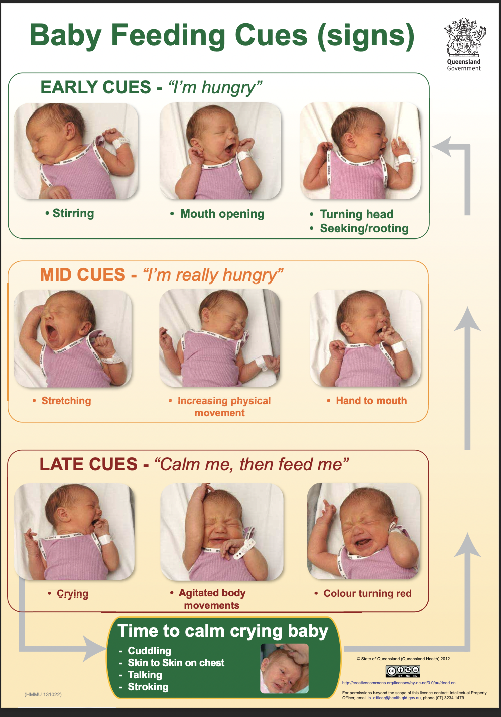 Stages of Breastfeeding 3-Pack