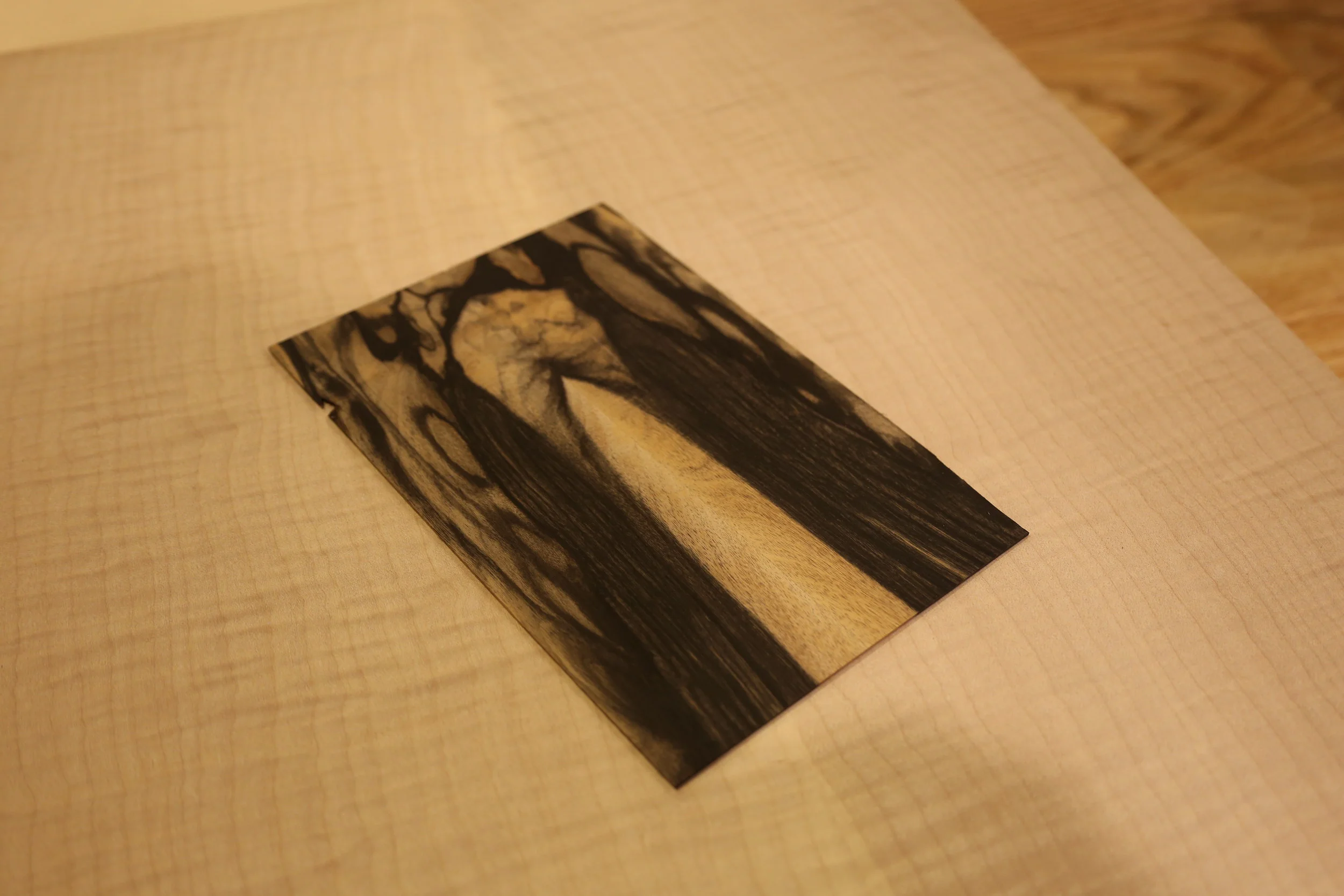 Pale Moon Ebony.JPG