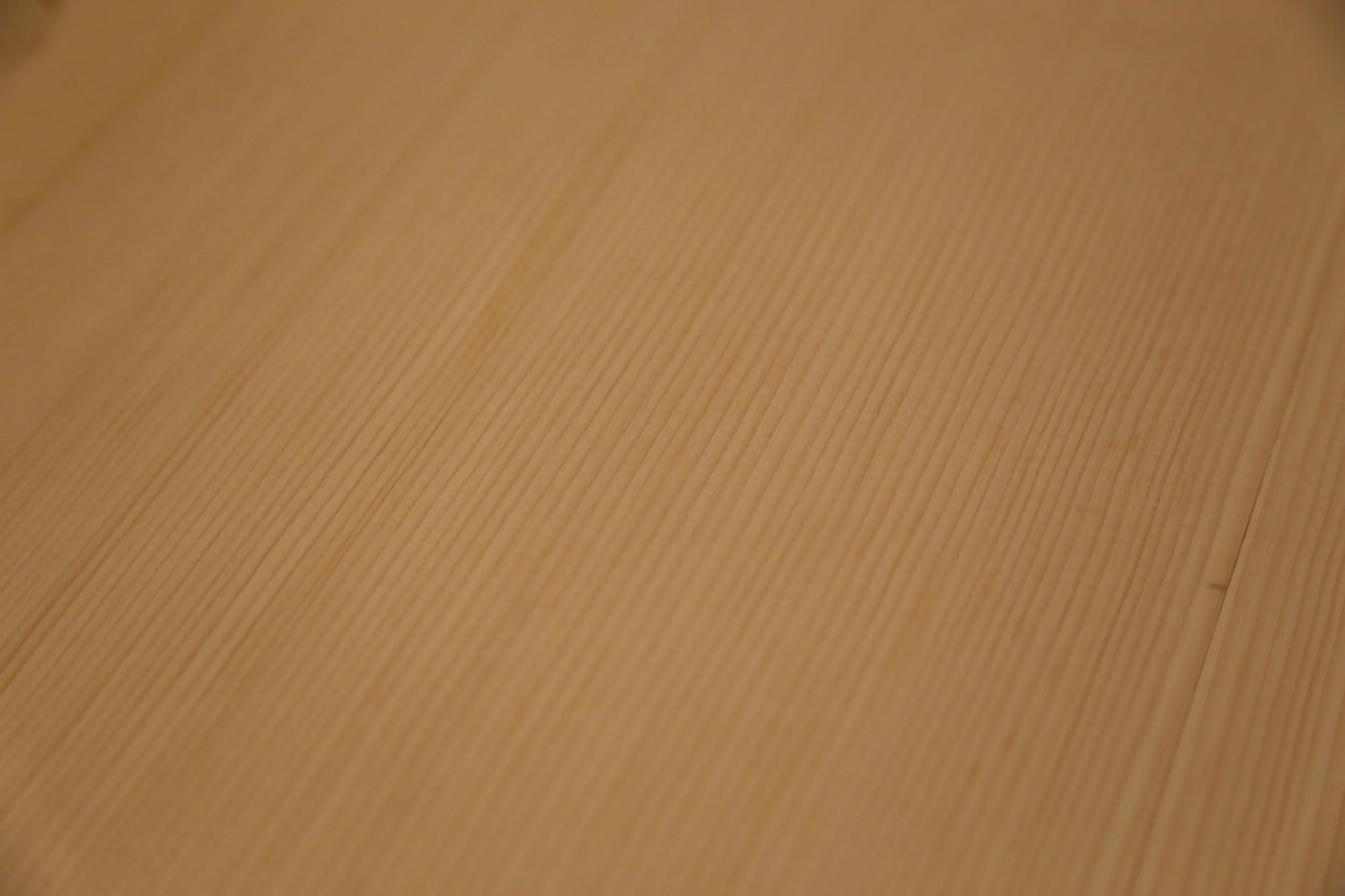 Adirondack Spruce.JPG