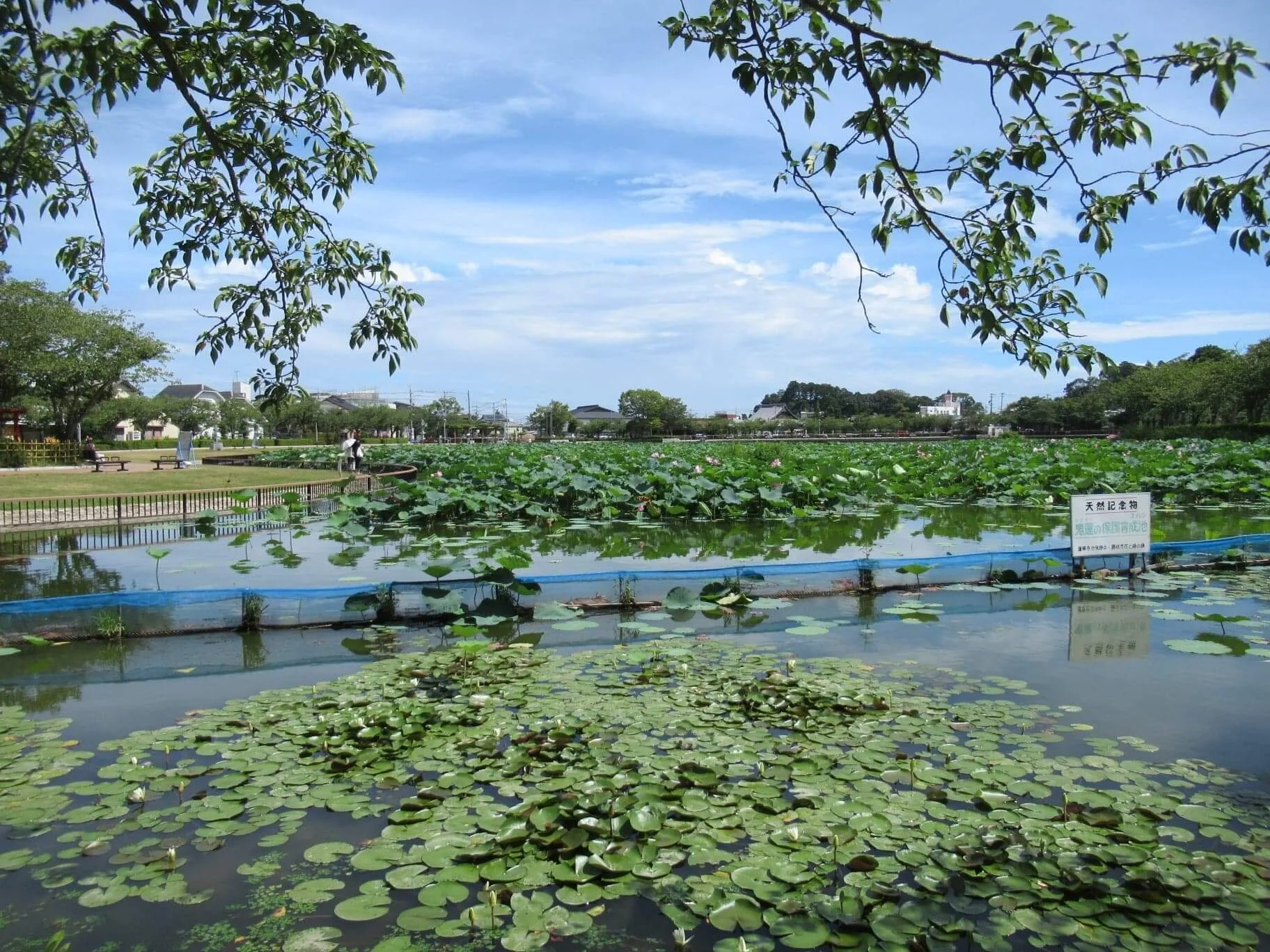 Nagoya Higashi, Kariya | Week 1 T.8 :: You Aren't the Teacher, the Spirit is, So Get Out of the Way!