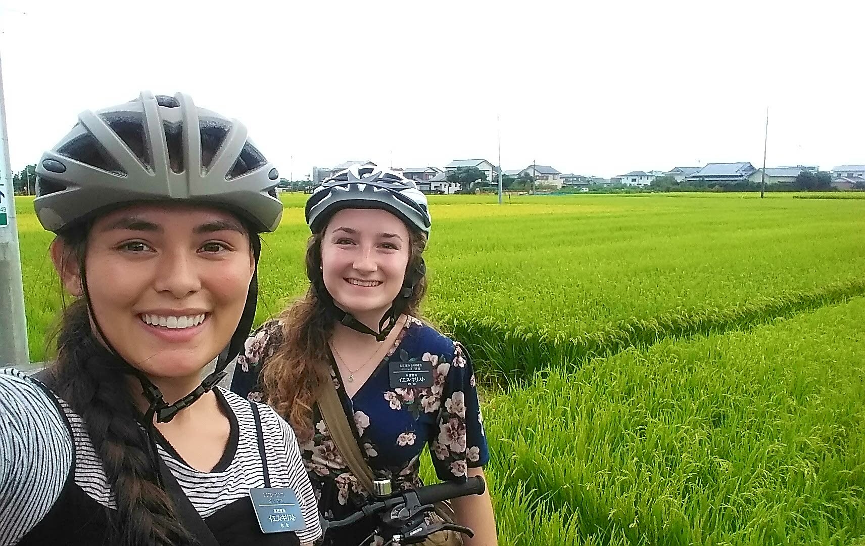 Shizuoka, Fujieda | Week 6 T.6 :: On to New/Old Things in Kariya!