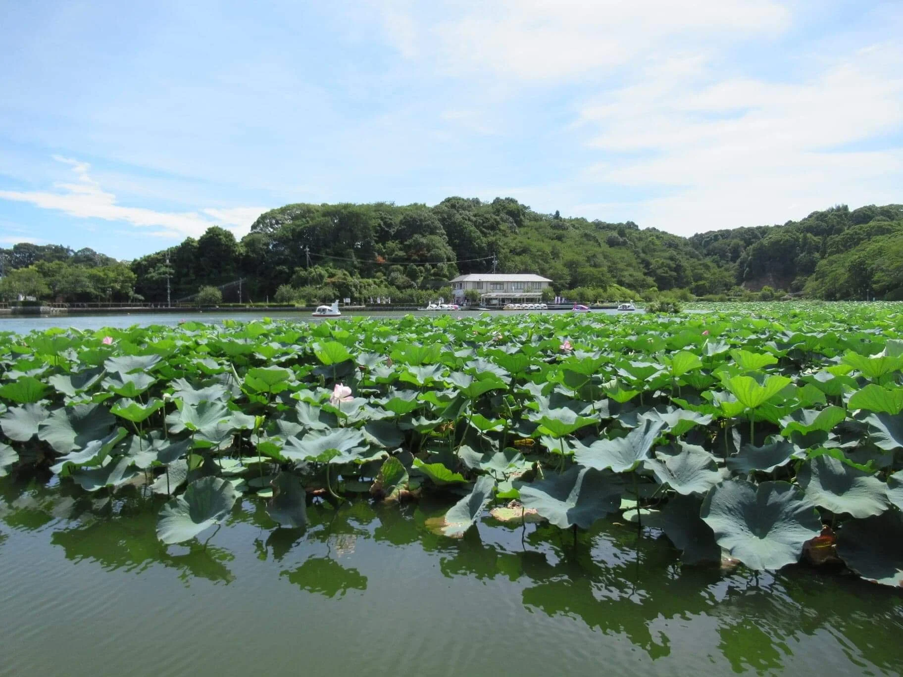 Nagoya Higashi, Kariya | Week 1 T.7 :: Bringing Others unto Christ