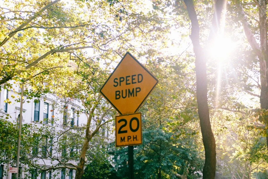 Speed bump sign on a tree-lined Brooklyn street with sunlight filtering through the leaves.