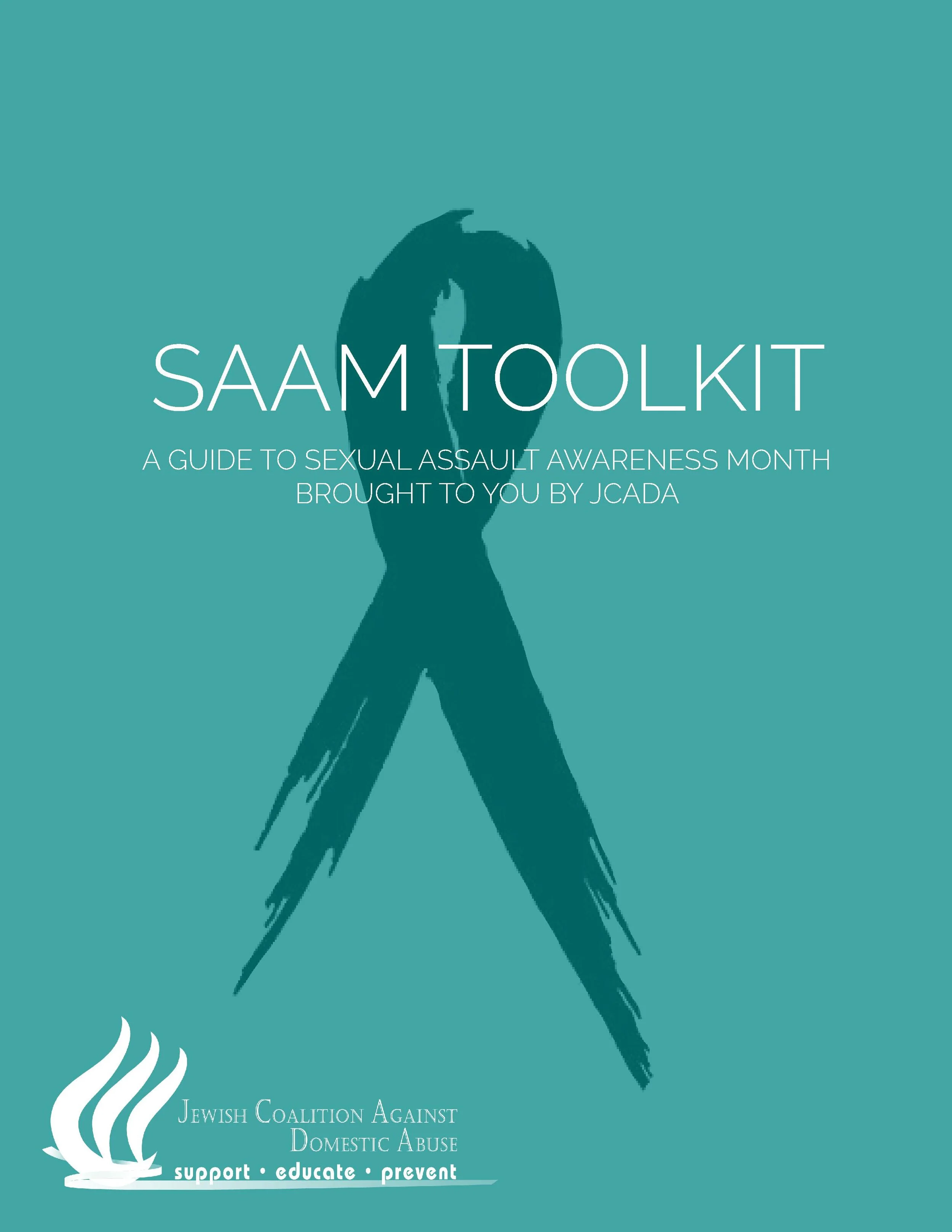2019 SAAM Toolkit DRAFT.jpg