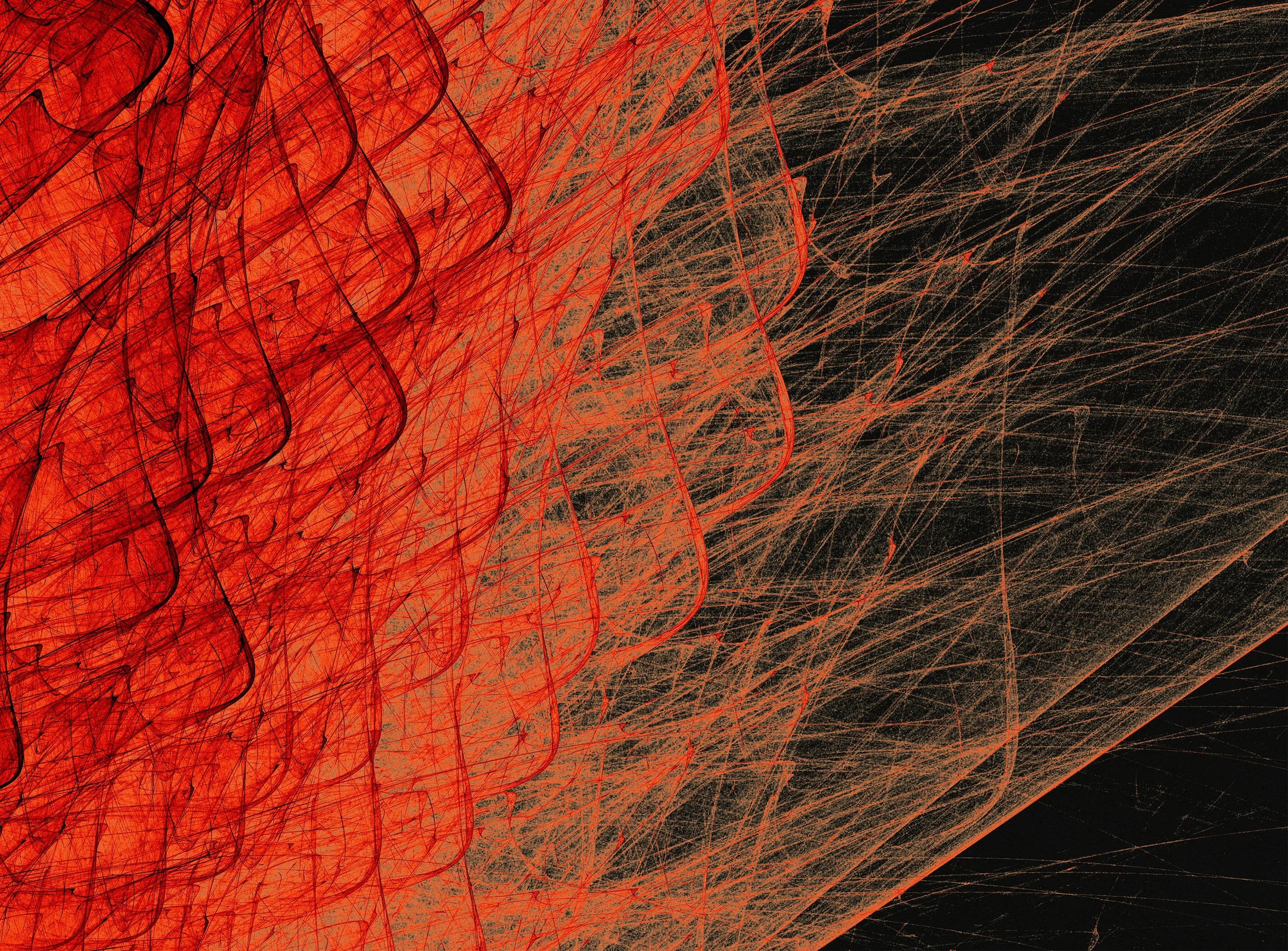 AA_Home_Banner_B copyCopycopy.jpg