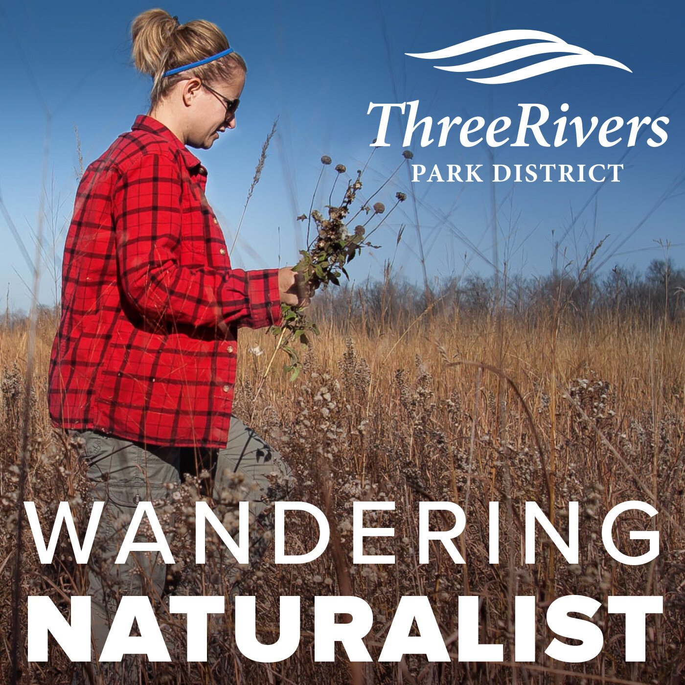 Wandering-Naturalist-Podcast.jpg