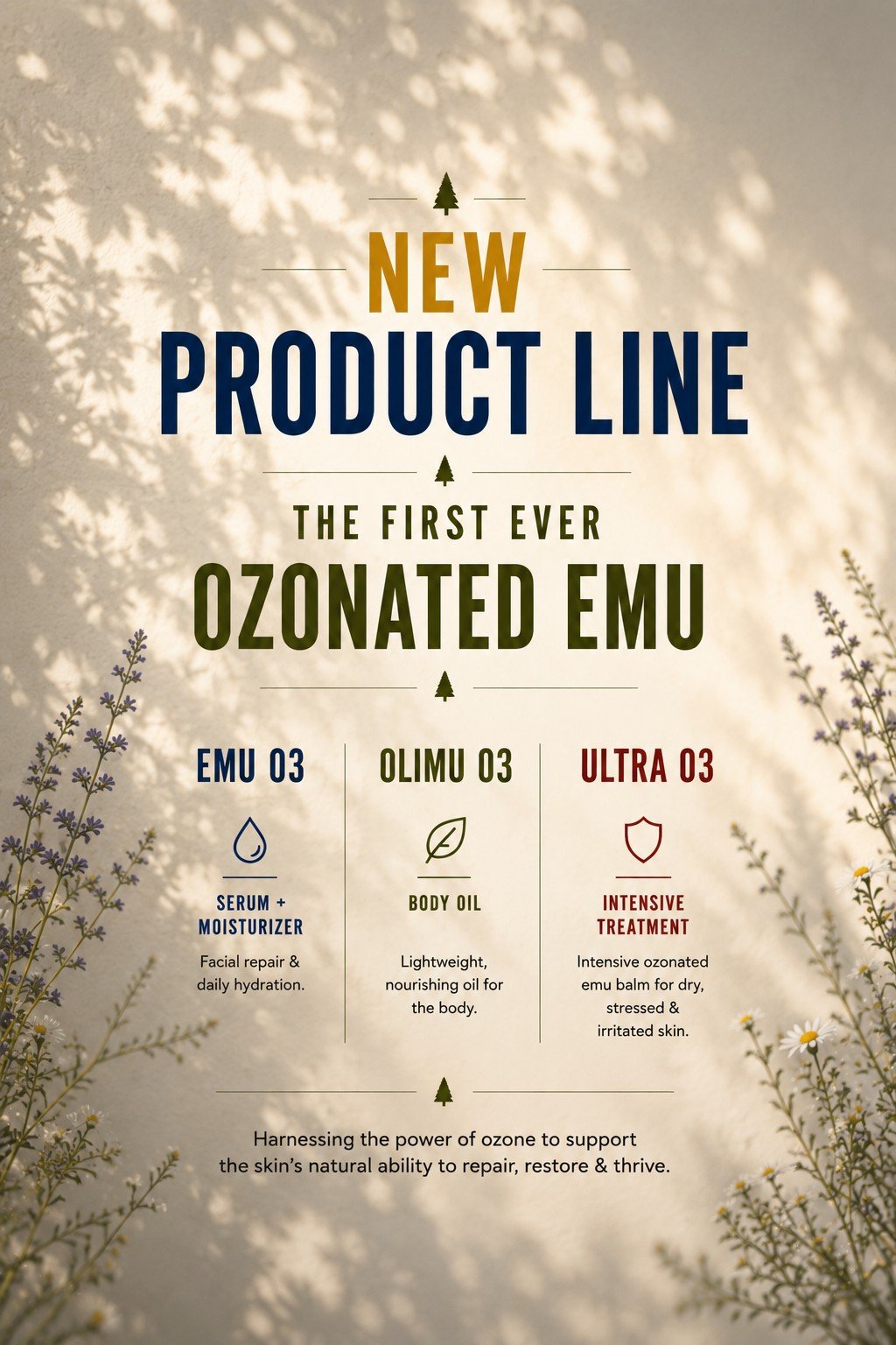 newwebsiteozone.jpg