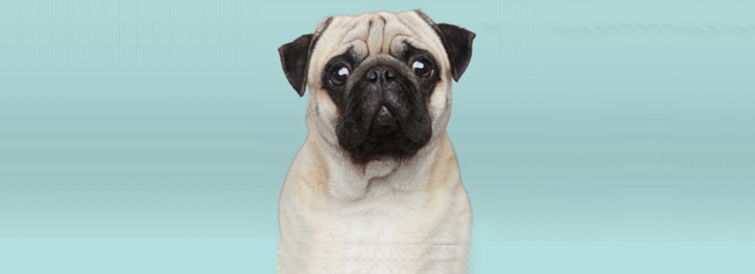 Screen Shot 2019-06-12 at 7.46.09 PM.png