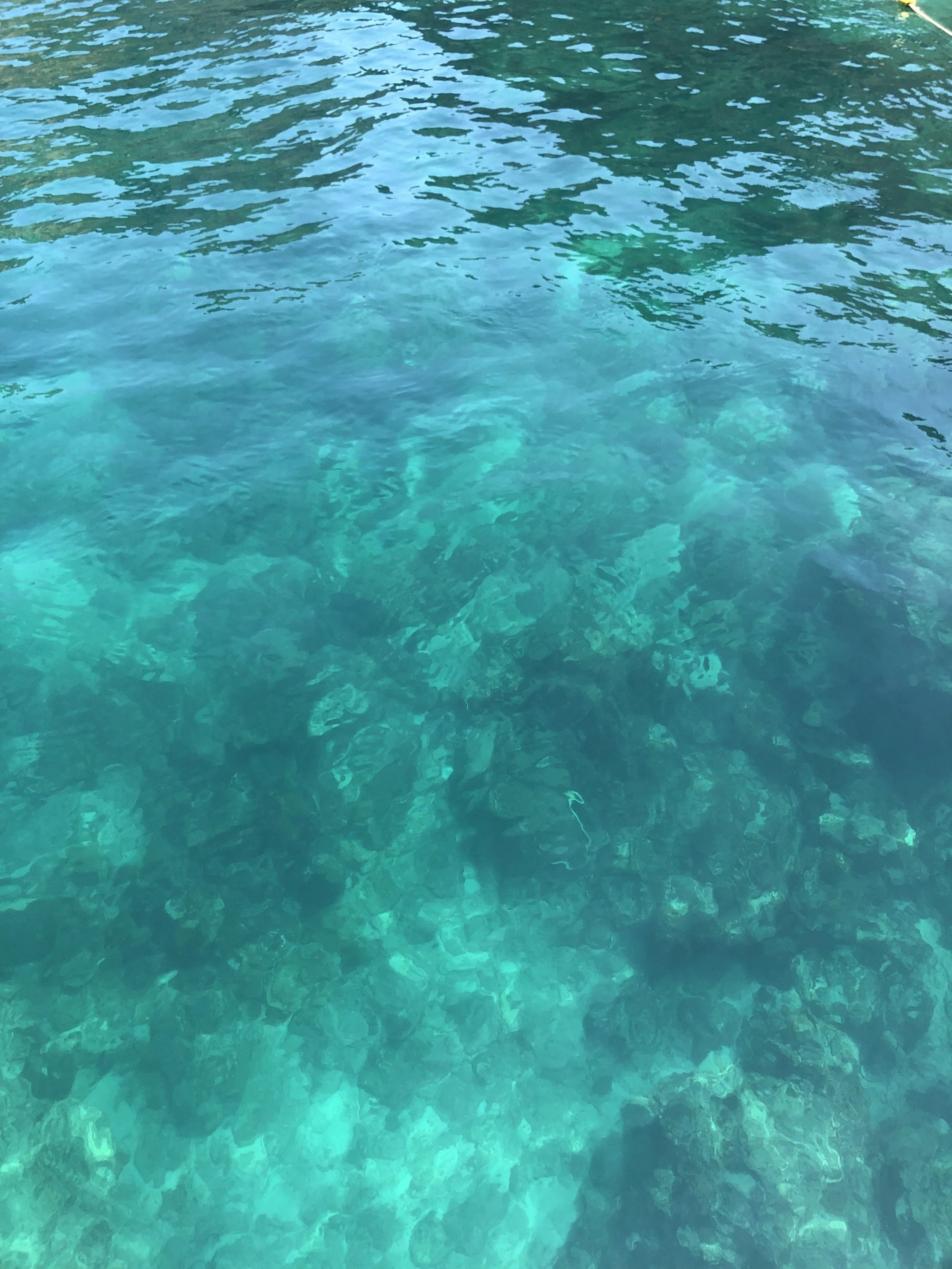 IMG_3893.jpeg