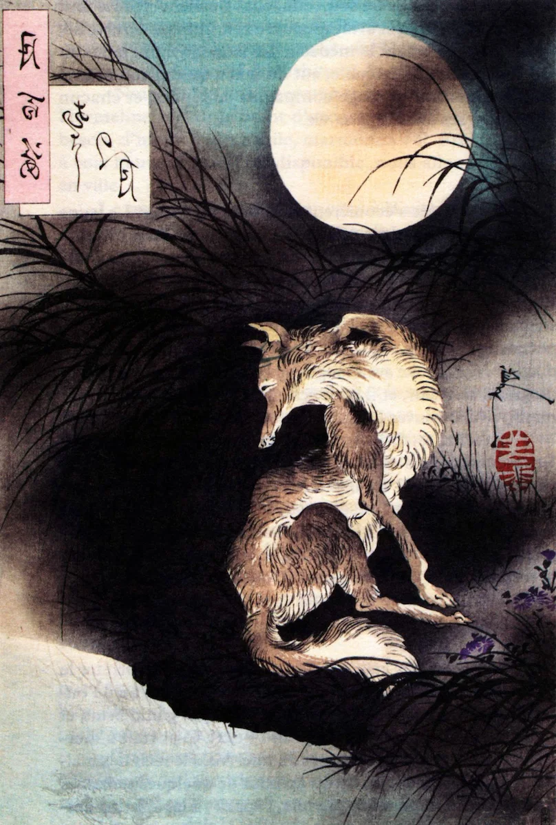Full Moon in Mushasi
